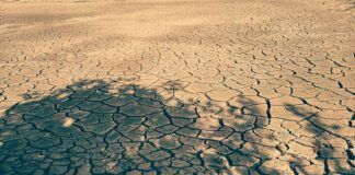 dried-up-land-water