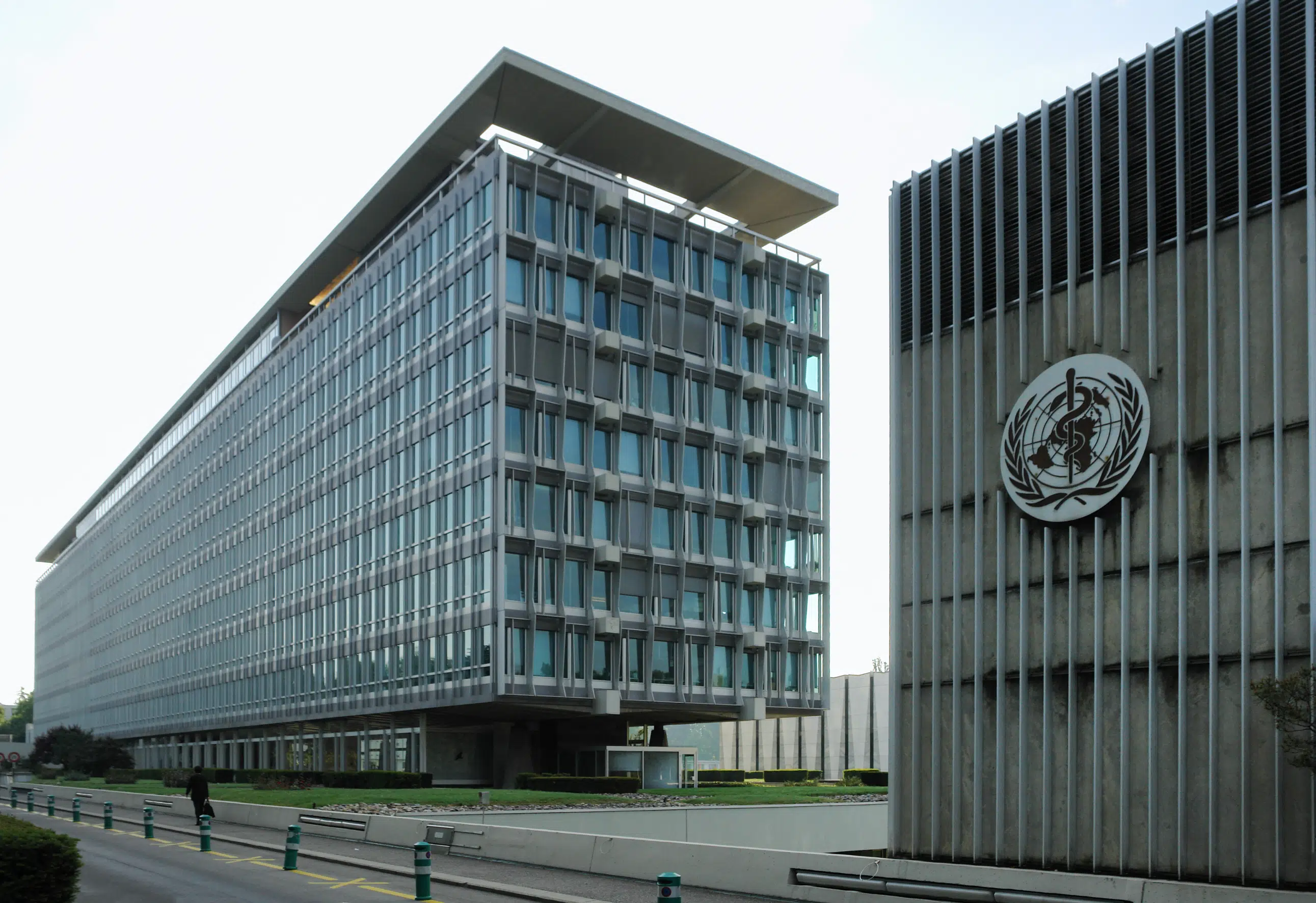 world-health-organisation