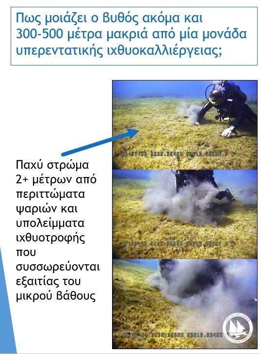 Το Ινστιτούτο Αρχιπέλαγος κατά της αύξησης της ιχθυοκαλλιέργειας Δυτικής Ελλάδας 3 arxipelagos