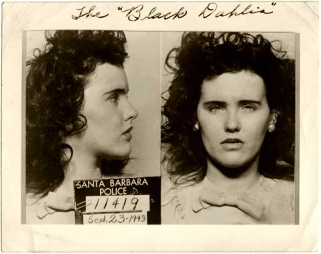black-dahlia