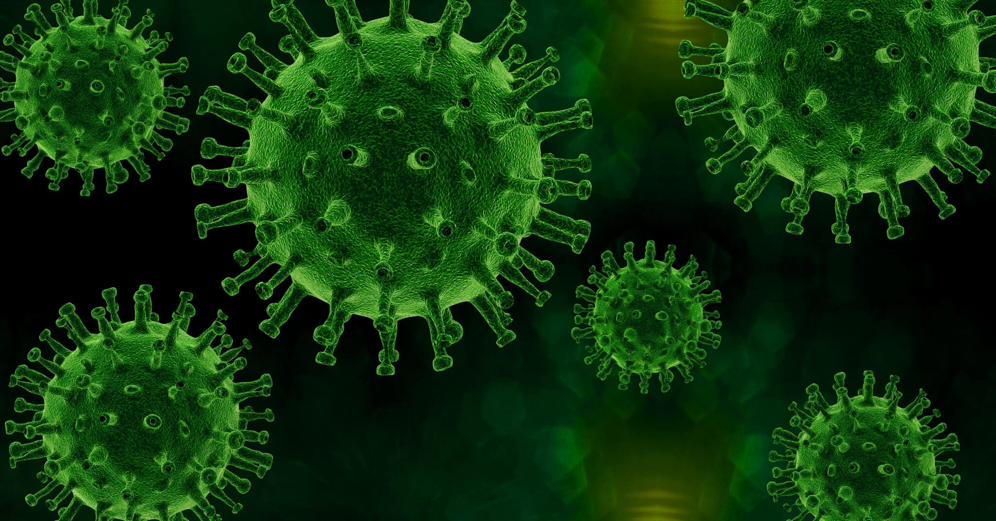 virus, pathogen, infection