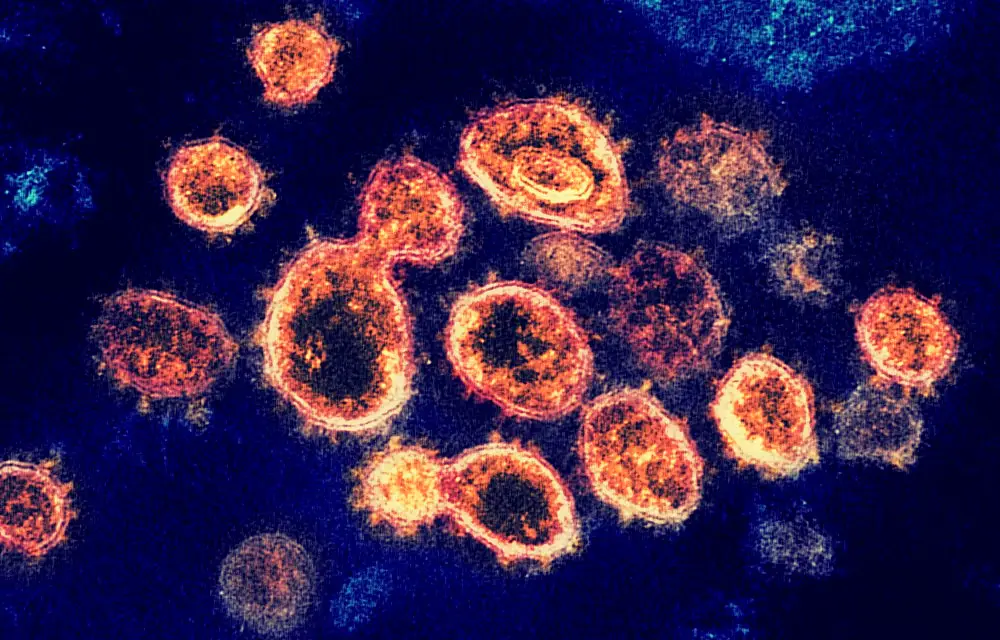 m-RNA