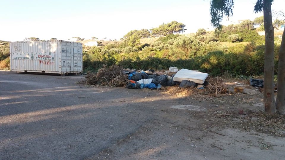 214633743 238352981466074 3960326654654303866 n