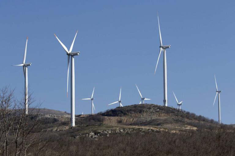 anemogennitries-kipa