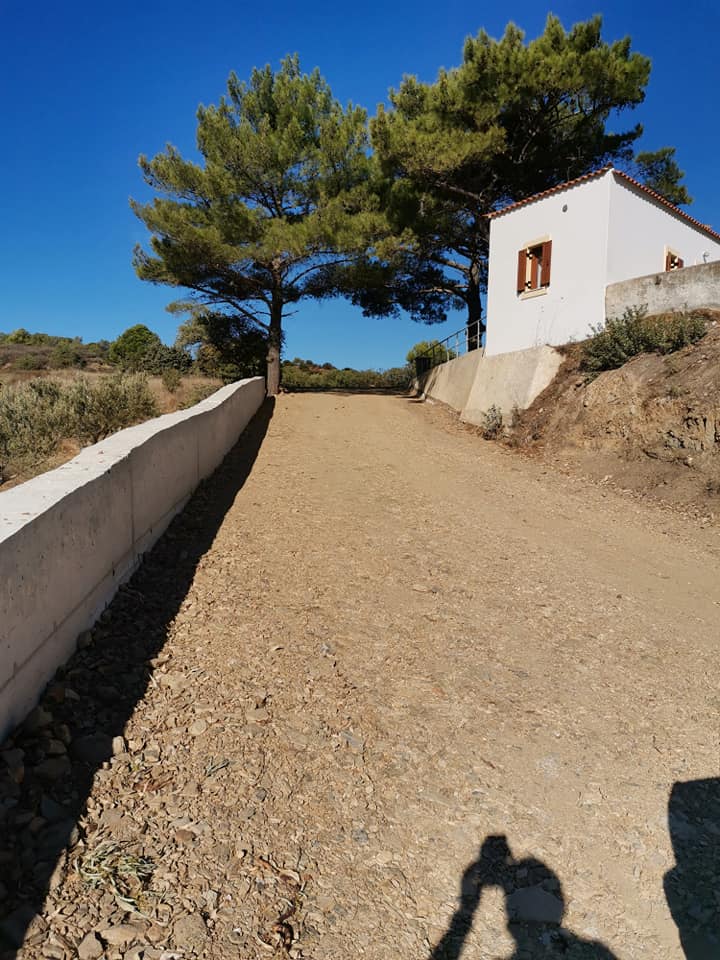 243892251 291329489501756 3793779085505712584 n