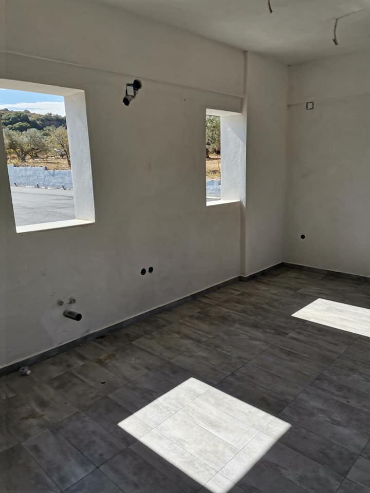 244168956 291329032835135 5549025607983626107 n