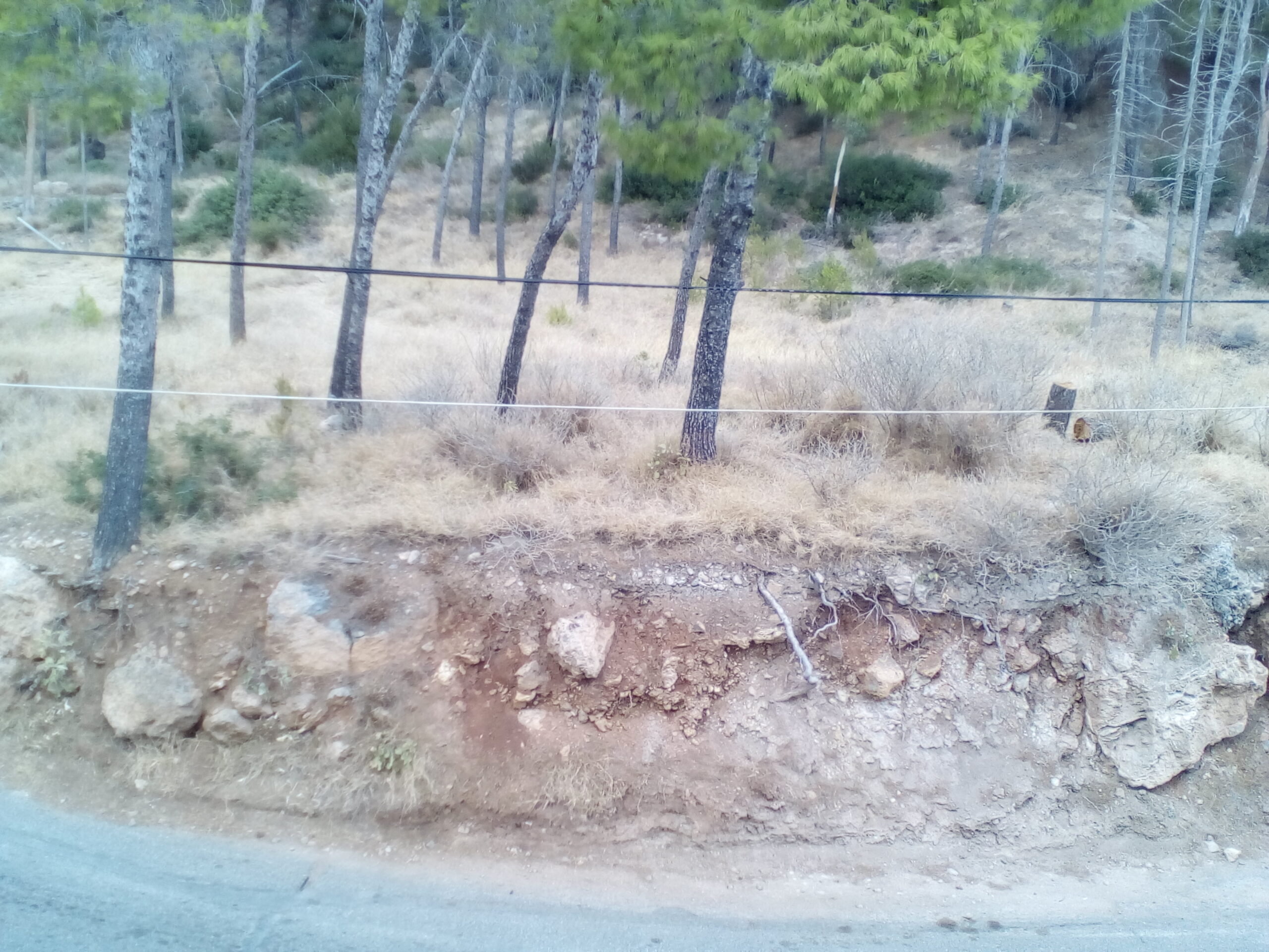 IMG 20210908 174530 scaled