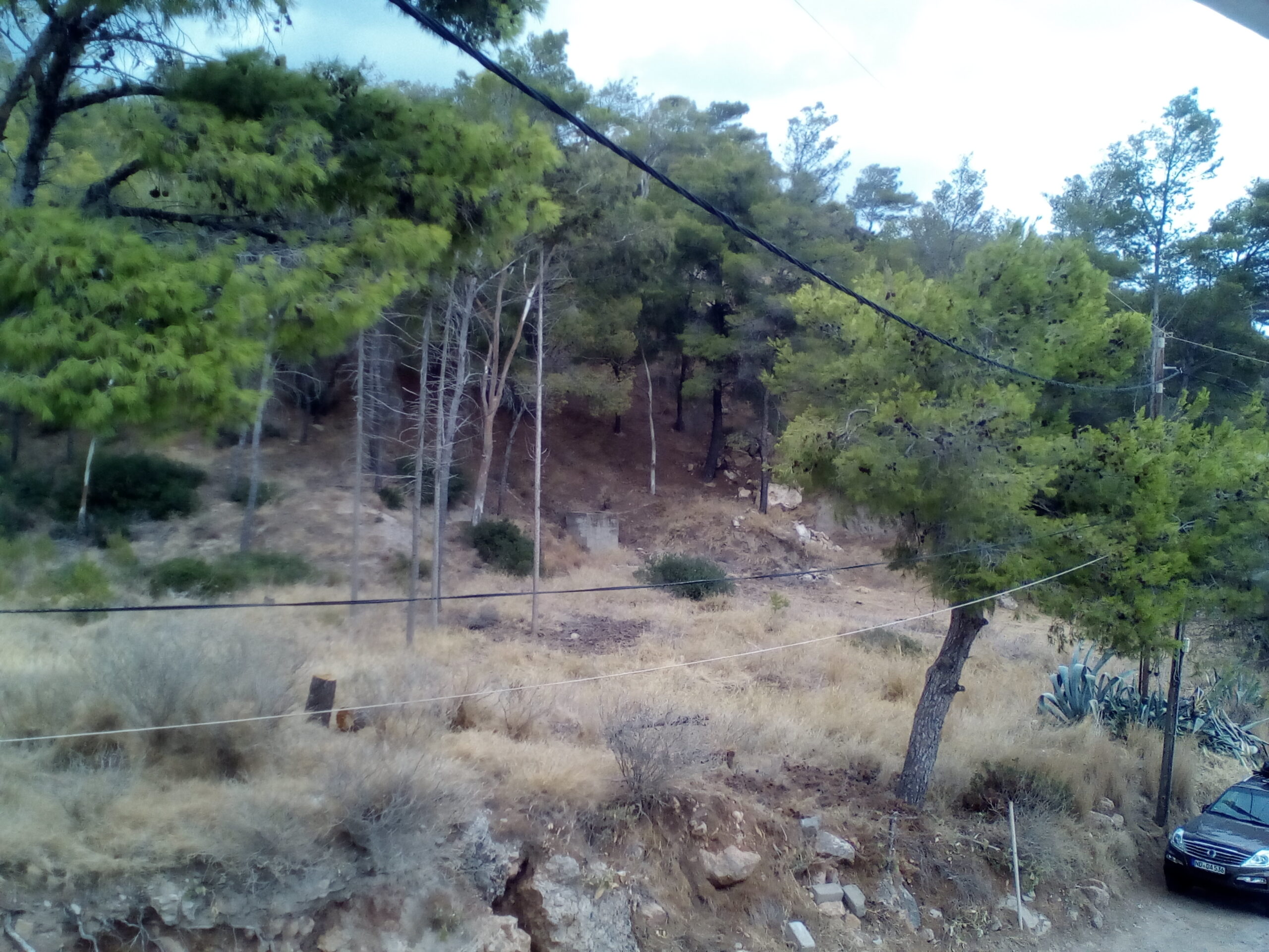 IMG 20210908 174534 1 scaled