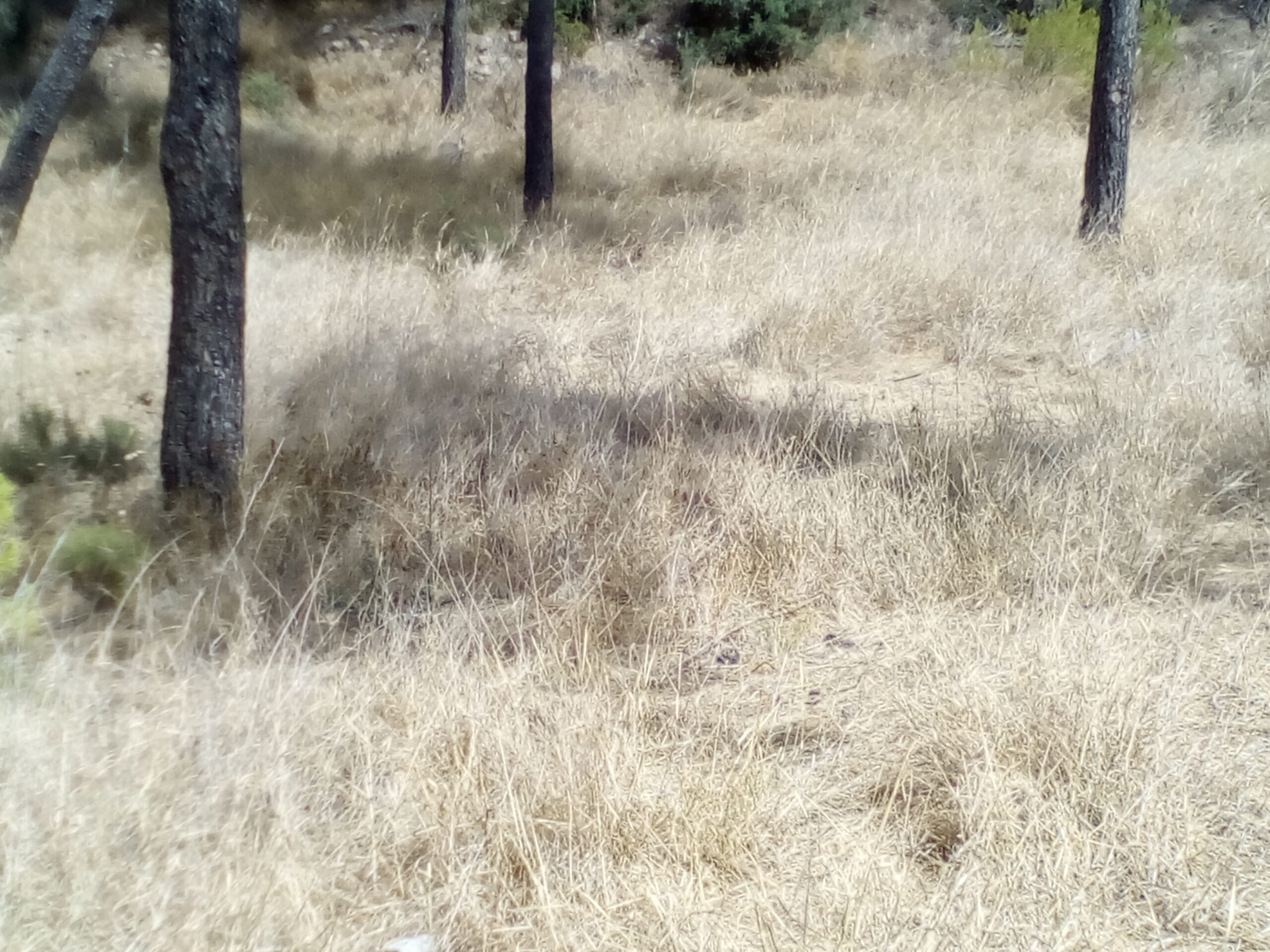 IMG 20210919 145325 scaled