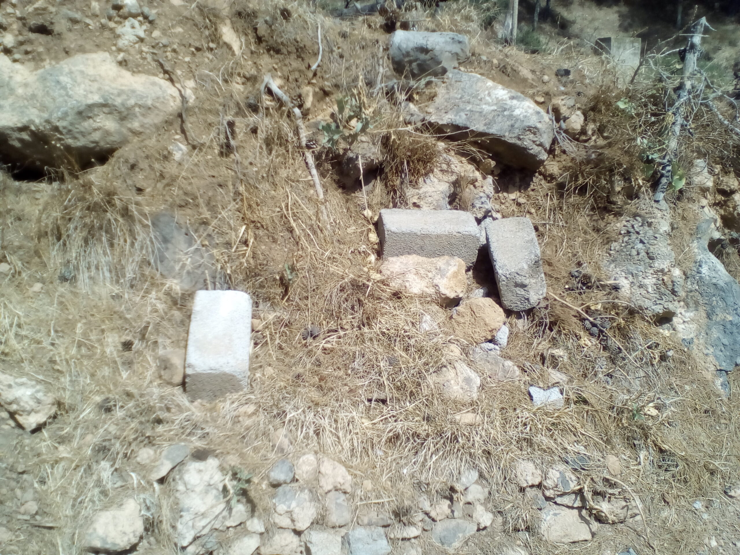 IMG 20210919 145422 scaled