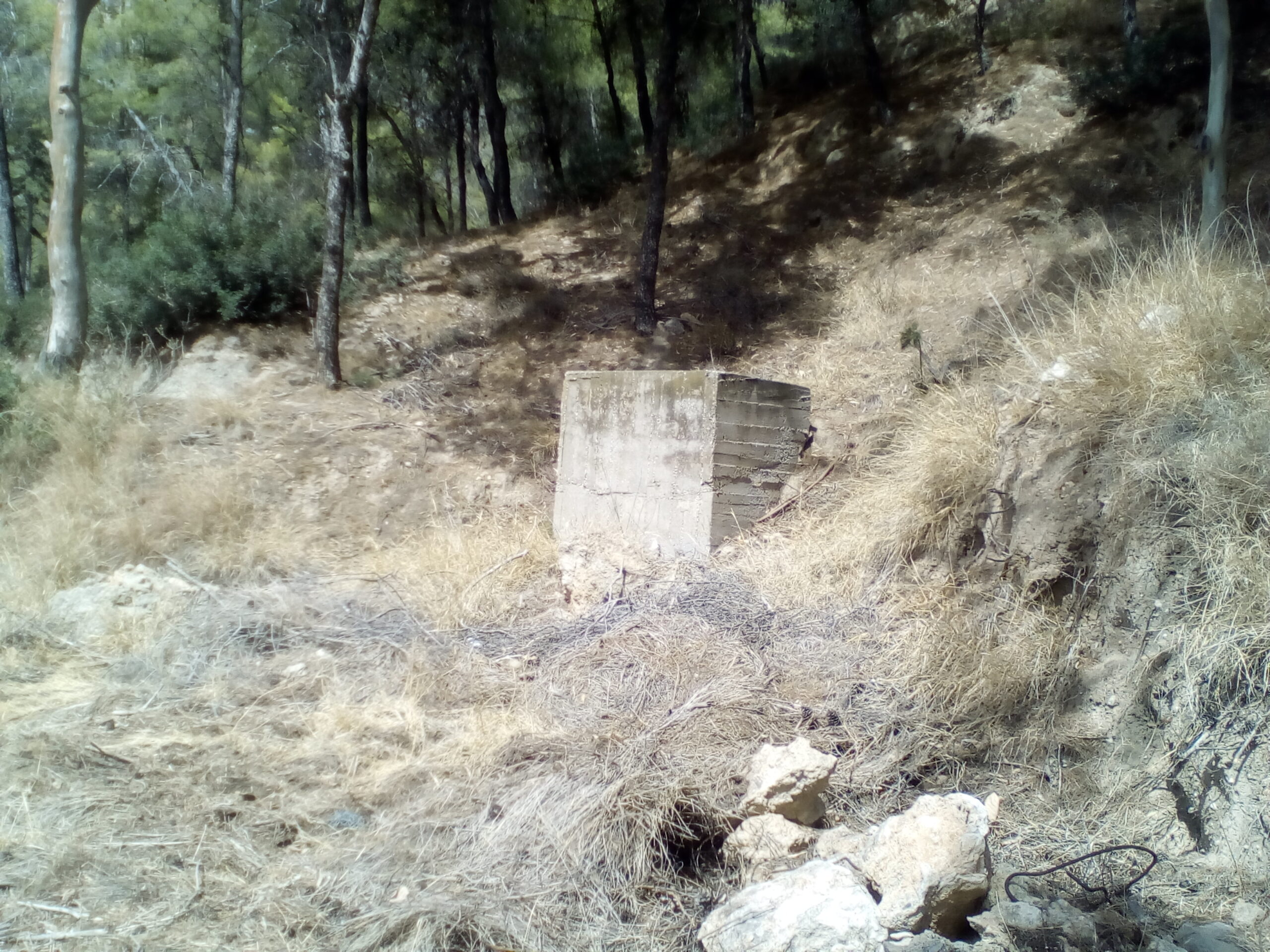 IMG 20210919 145626 scaled