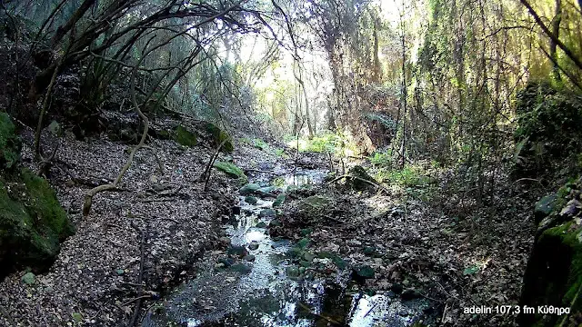lymata-potamos-rematia