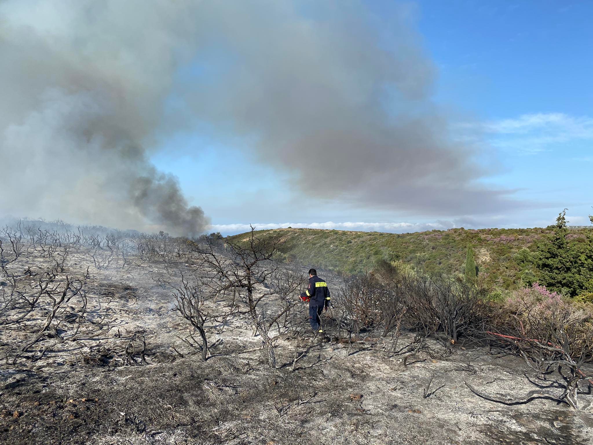 248363661 253905580105304 3483932244590068338 n