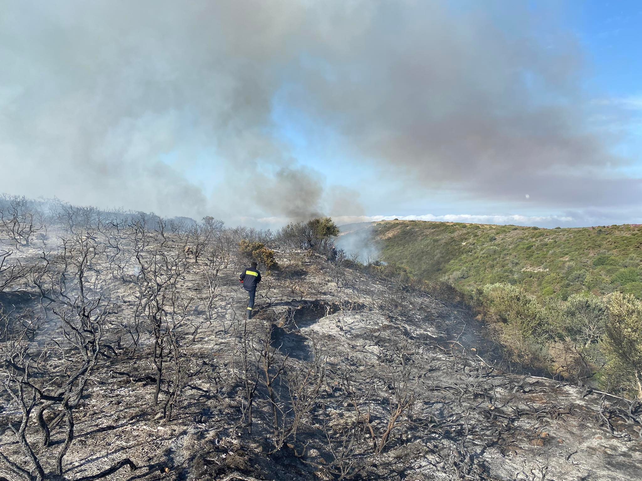 249044677 611444556974195 39106480075356082 n