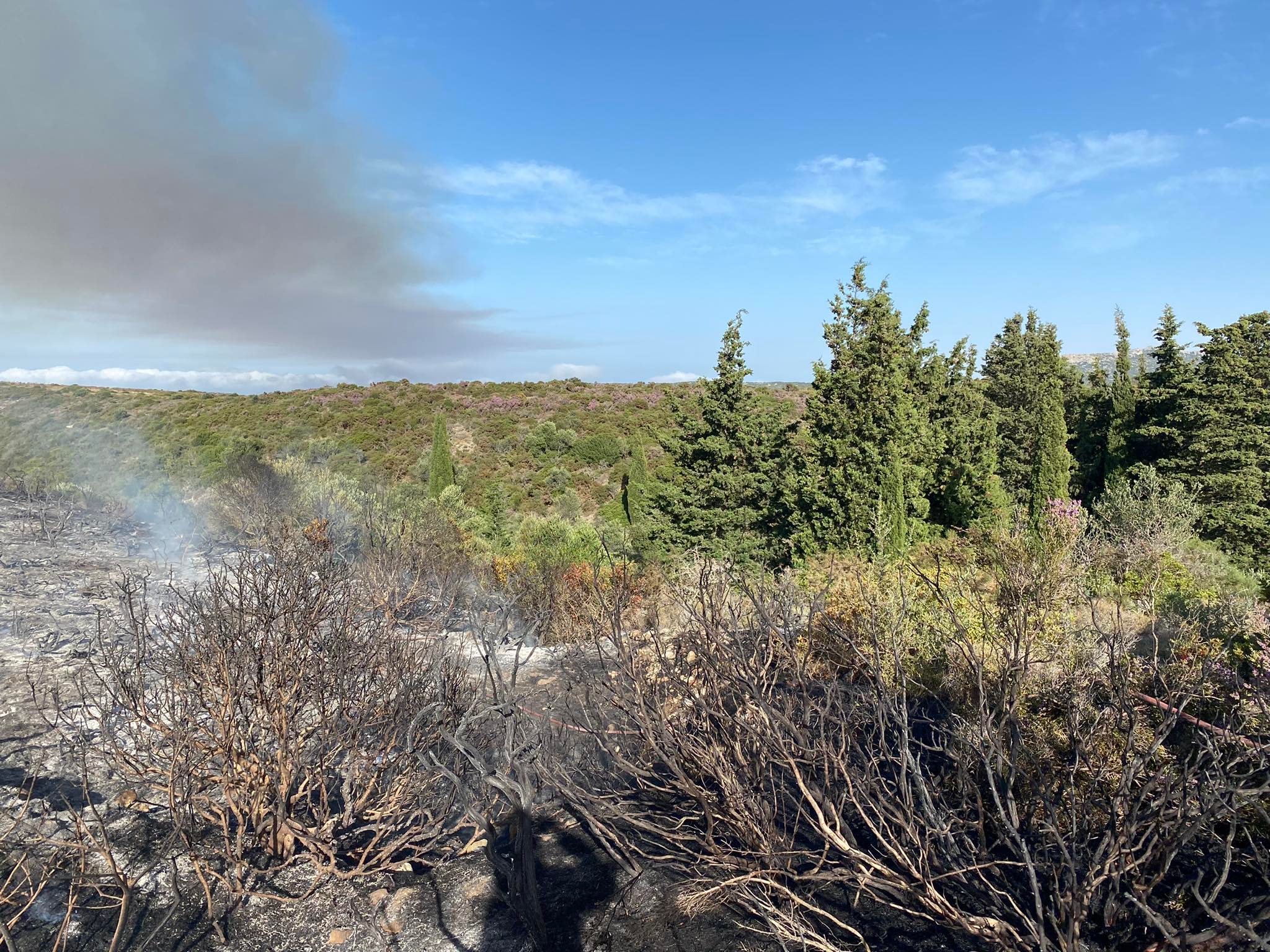 251605627 595440838434627 7818136624974781256 n