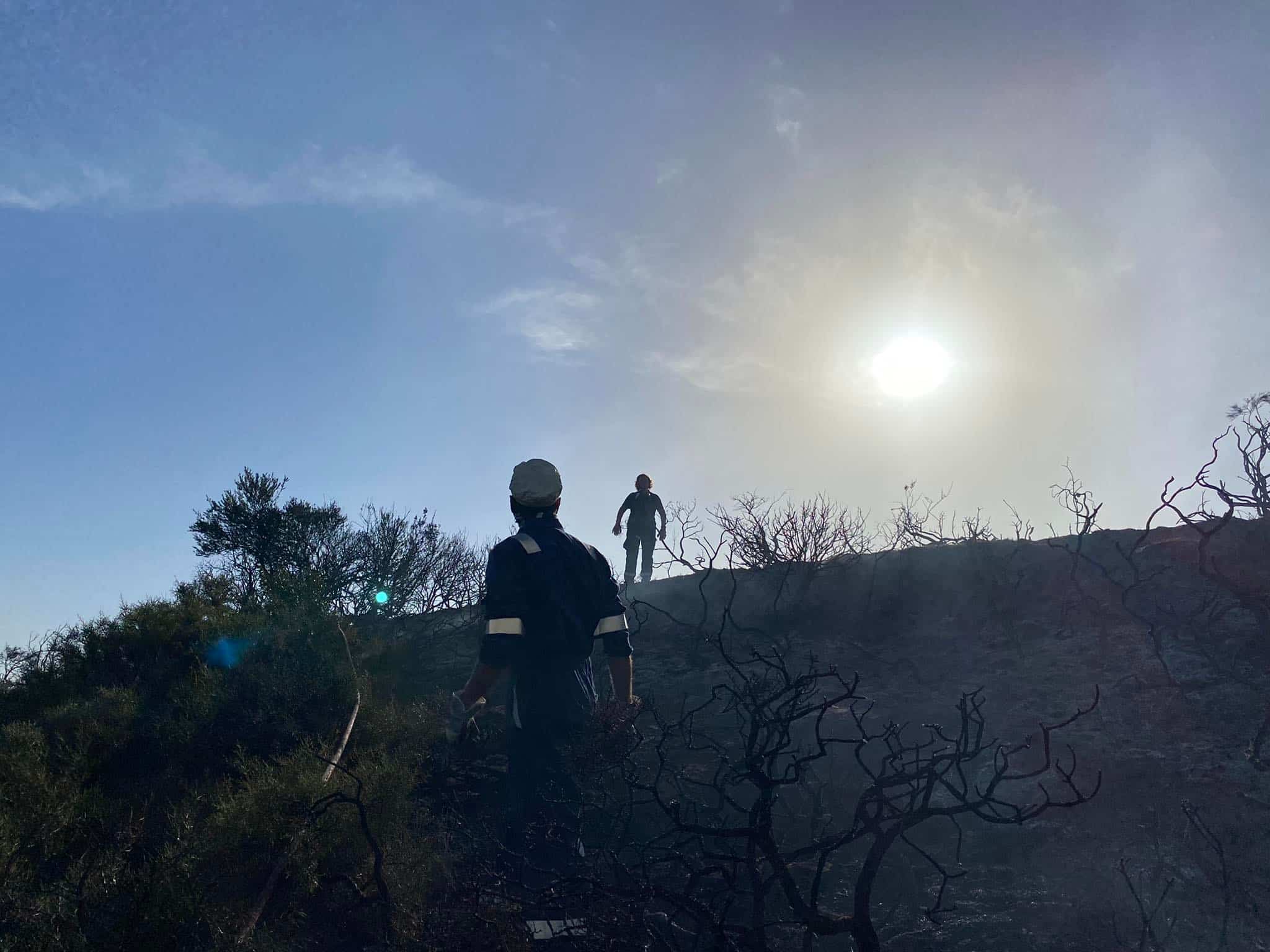 251655385 978427829387857 535966830823459246 n