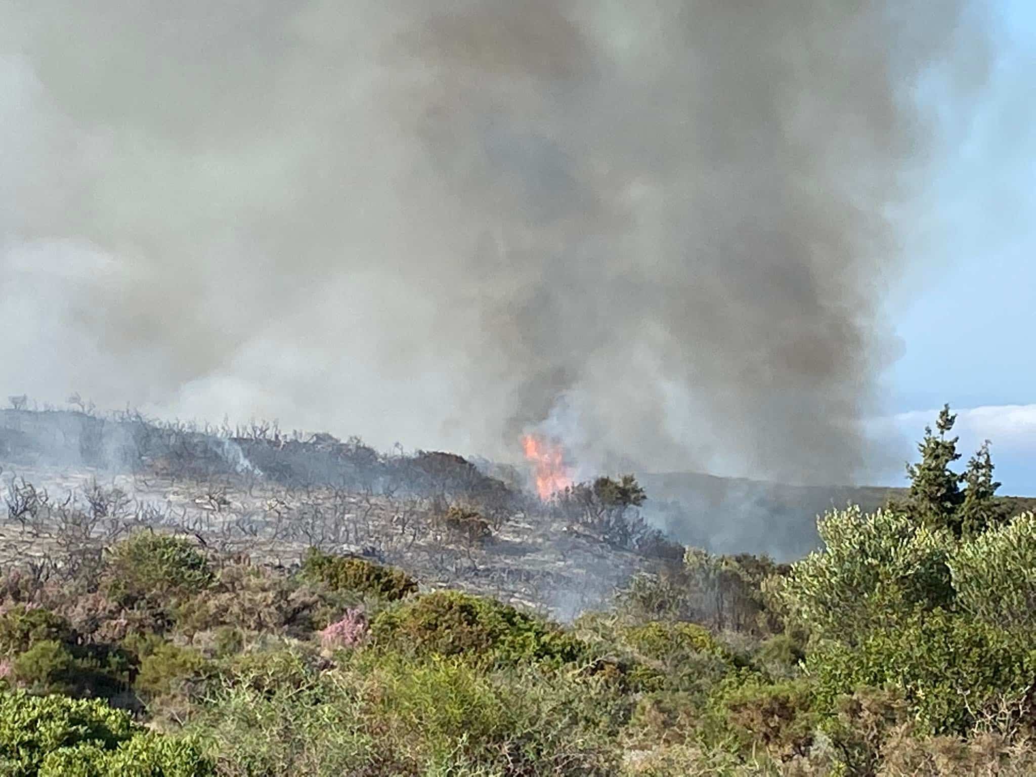 251990619 299174738525762 2799950670778816350 n