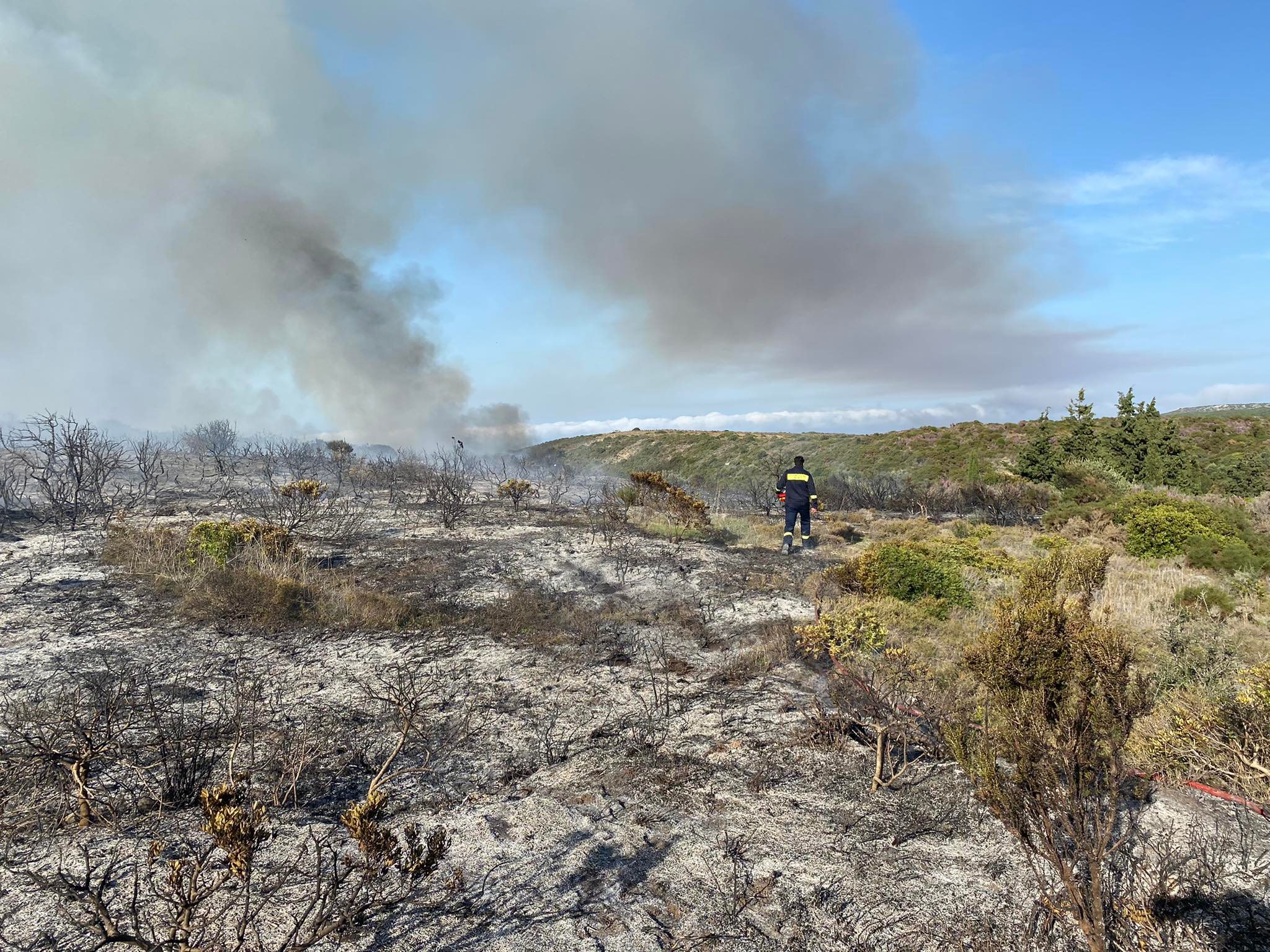 252165444 908482460063374 3797570300324571876 n