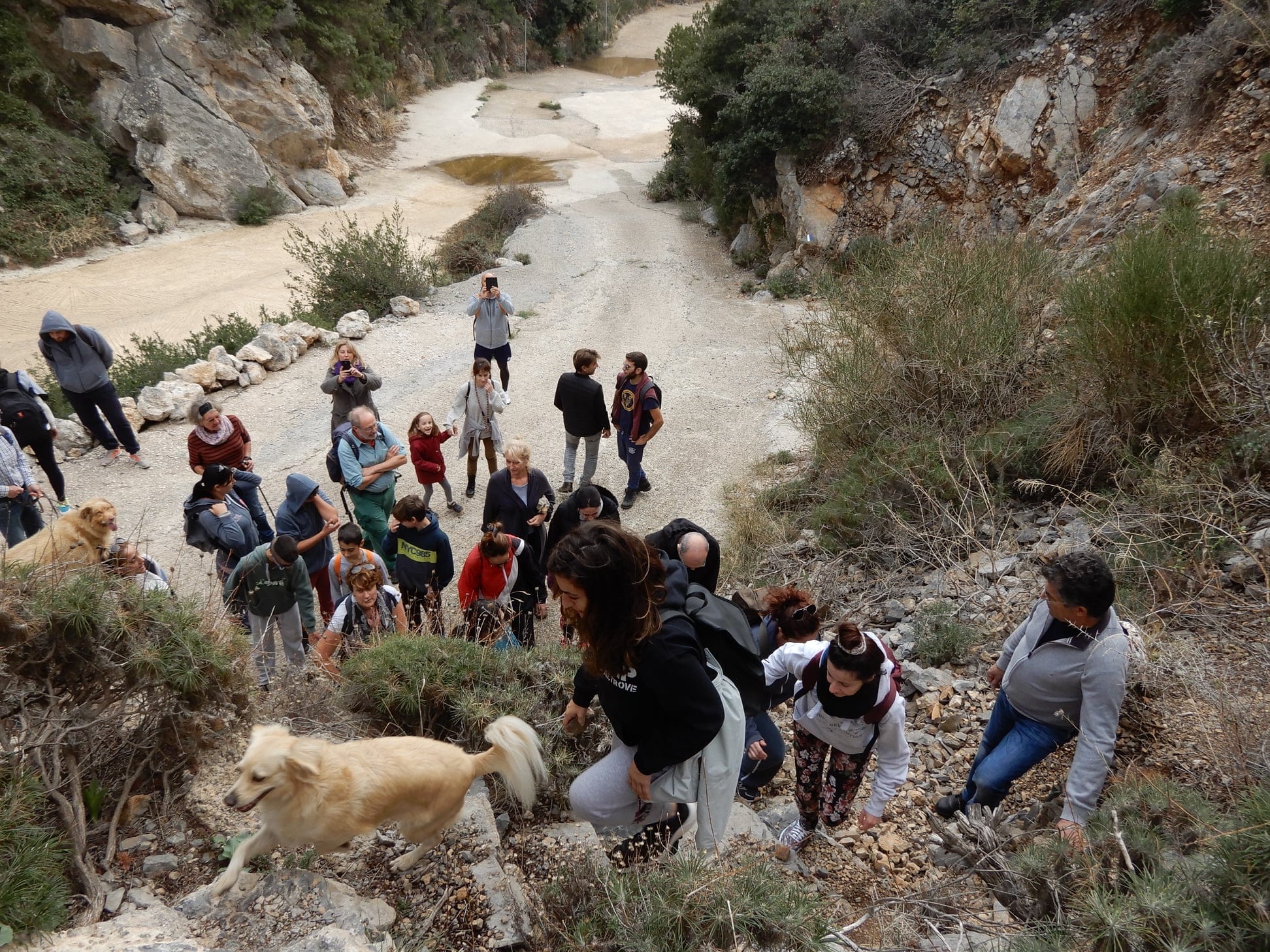 261117864 400160231635376 1848308800367353608 n