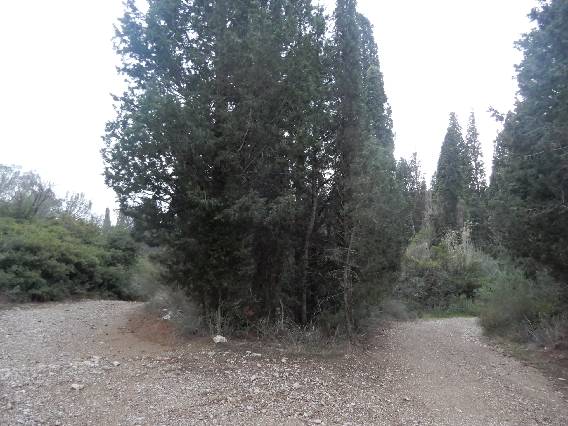 261148910 400160194968713 1637280253823645511 n