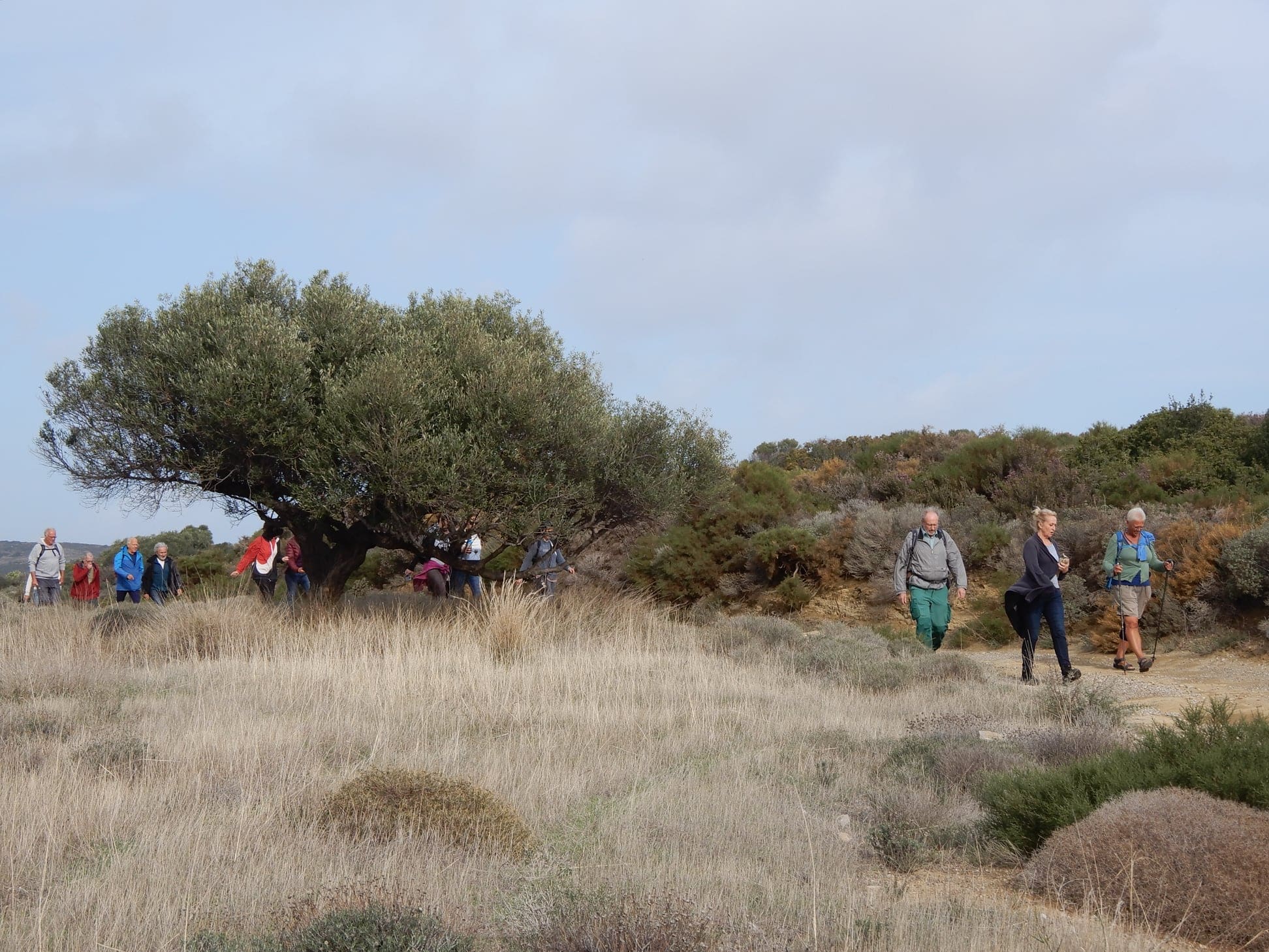 262114276 400160378302028 1954207551723907021 n