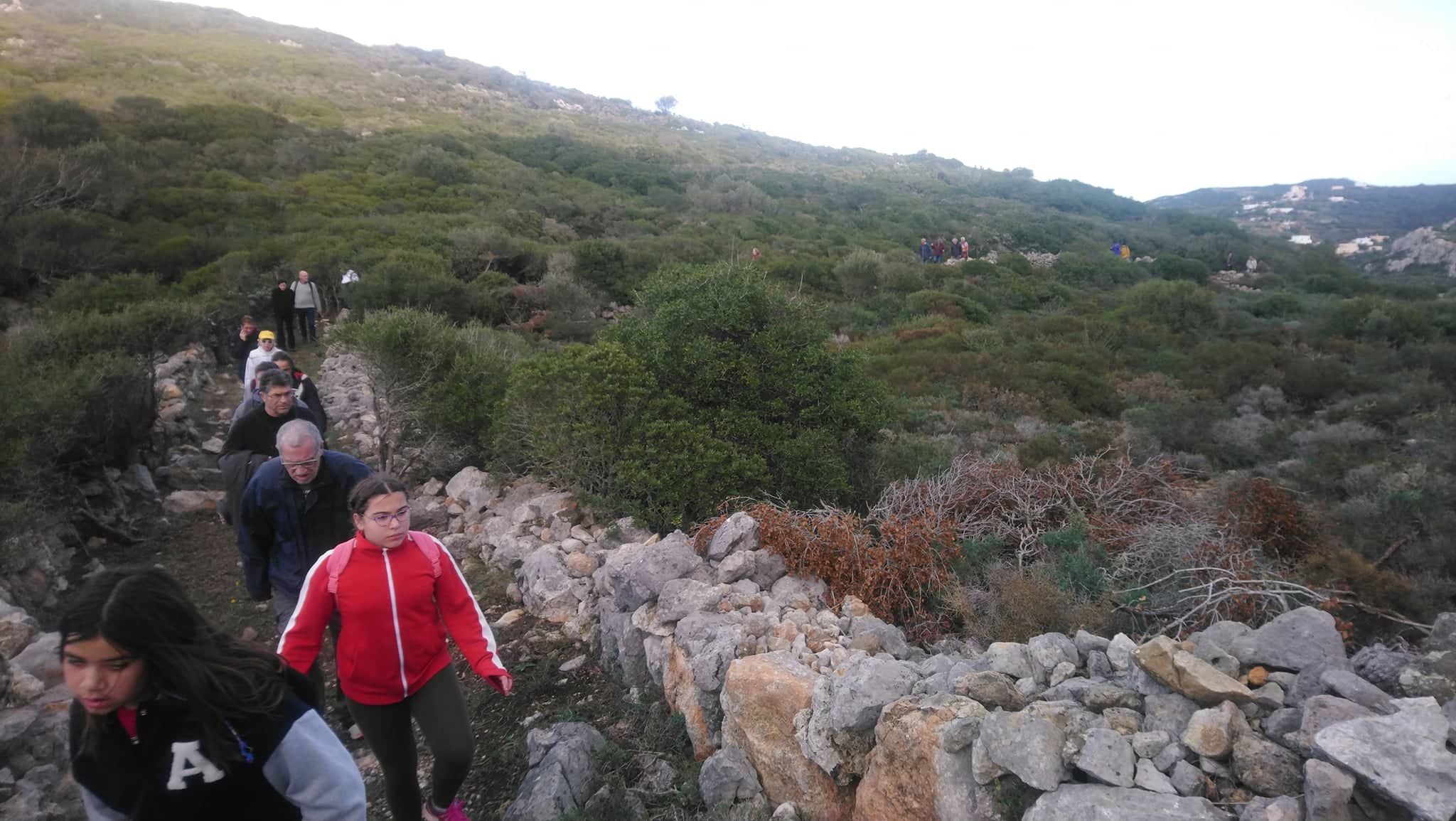 265569723 409295294055203 4897859379485644651 n