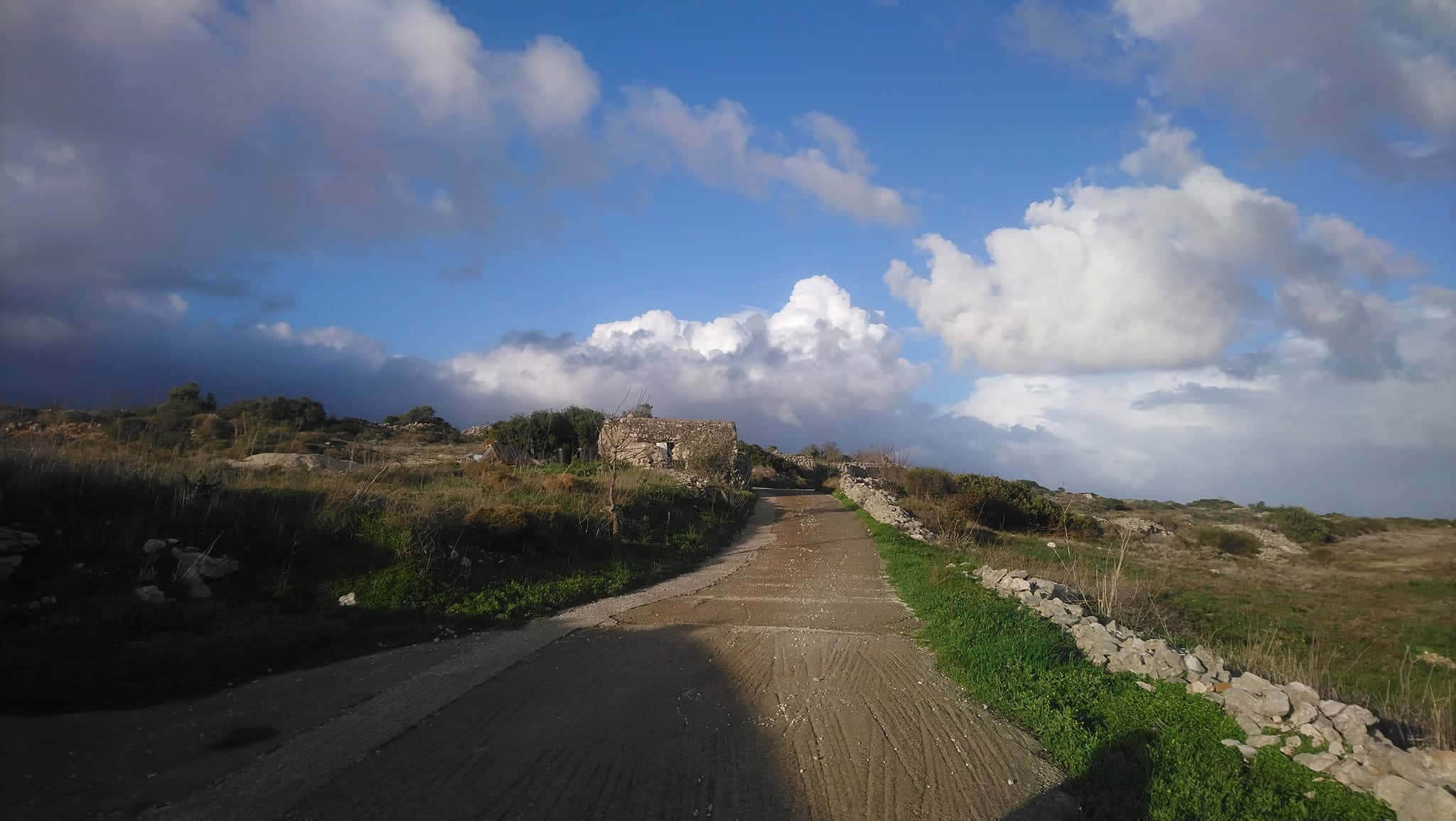 265572512 409295354055197 8488987856971678871 n