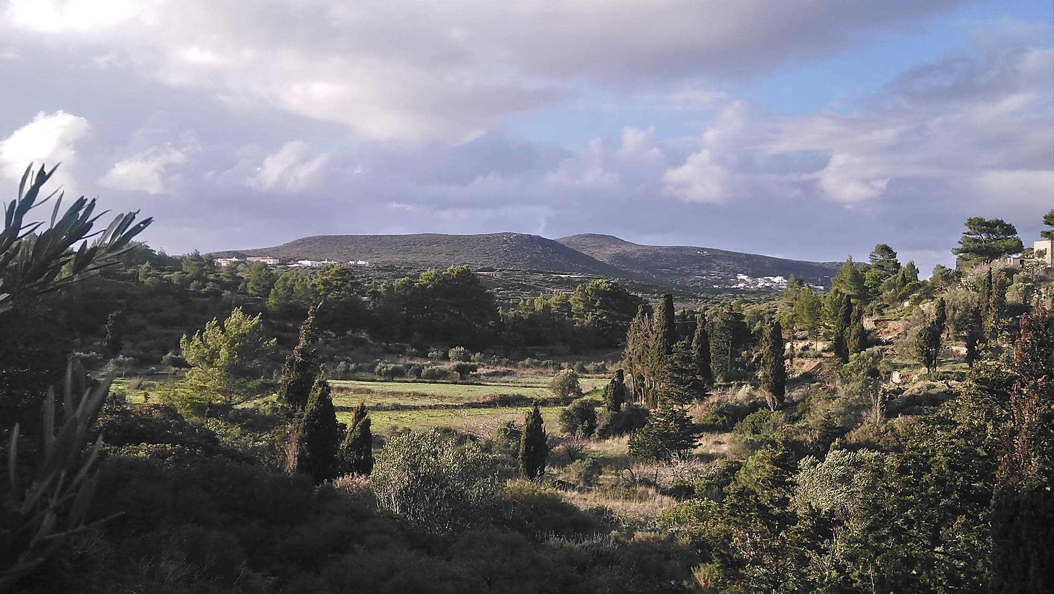 267037093 409295114055221 619313439641245290 n