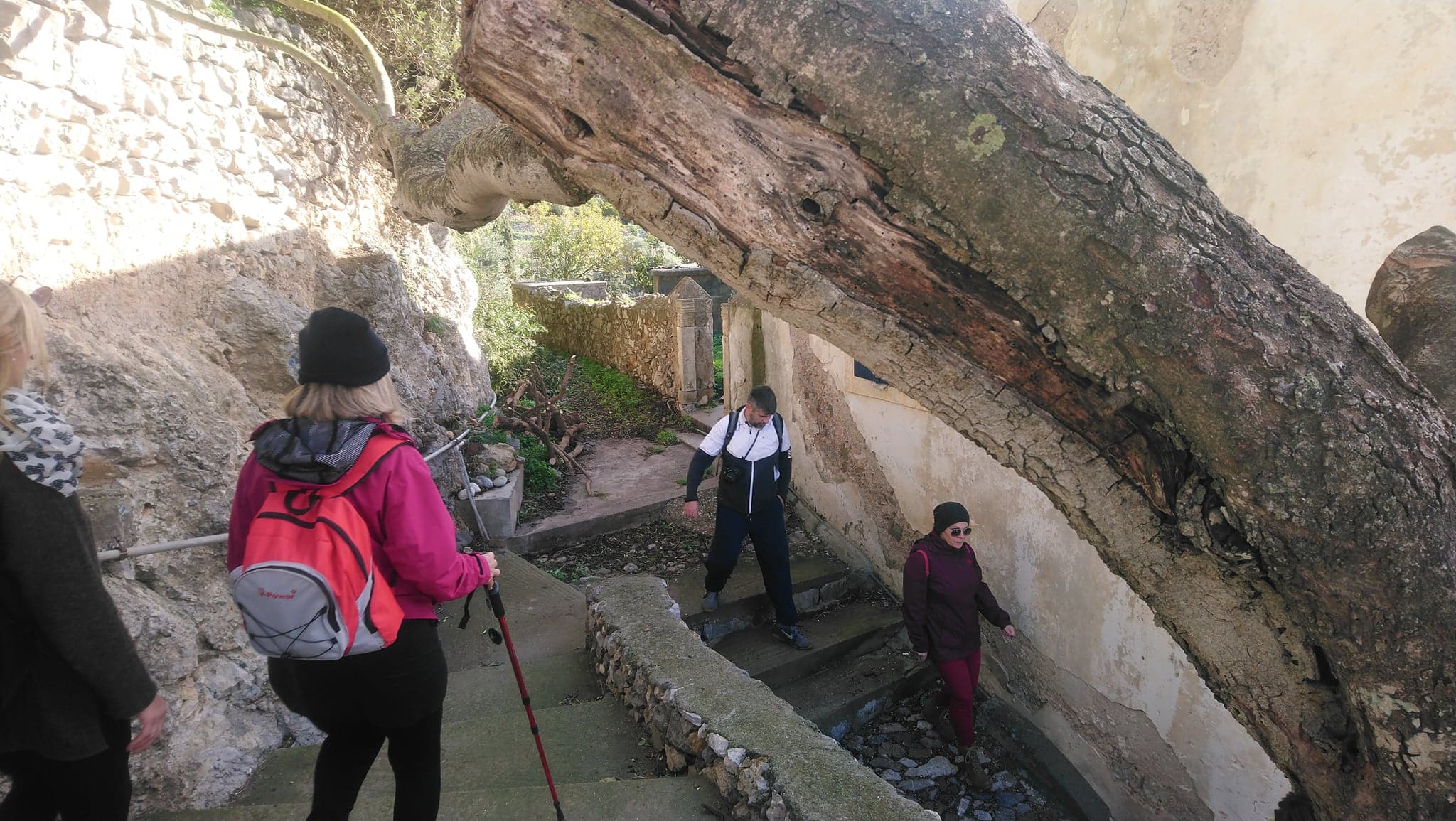 267506503 409295504055182 8827440778024916665 n