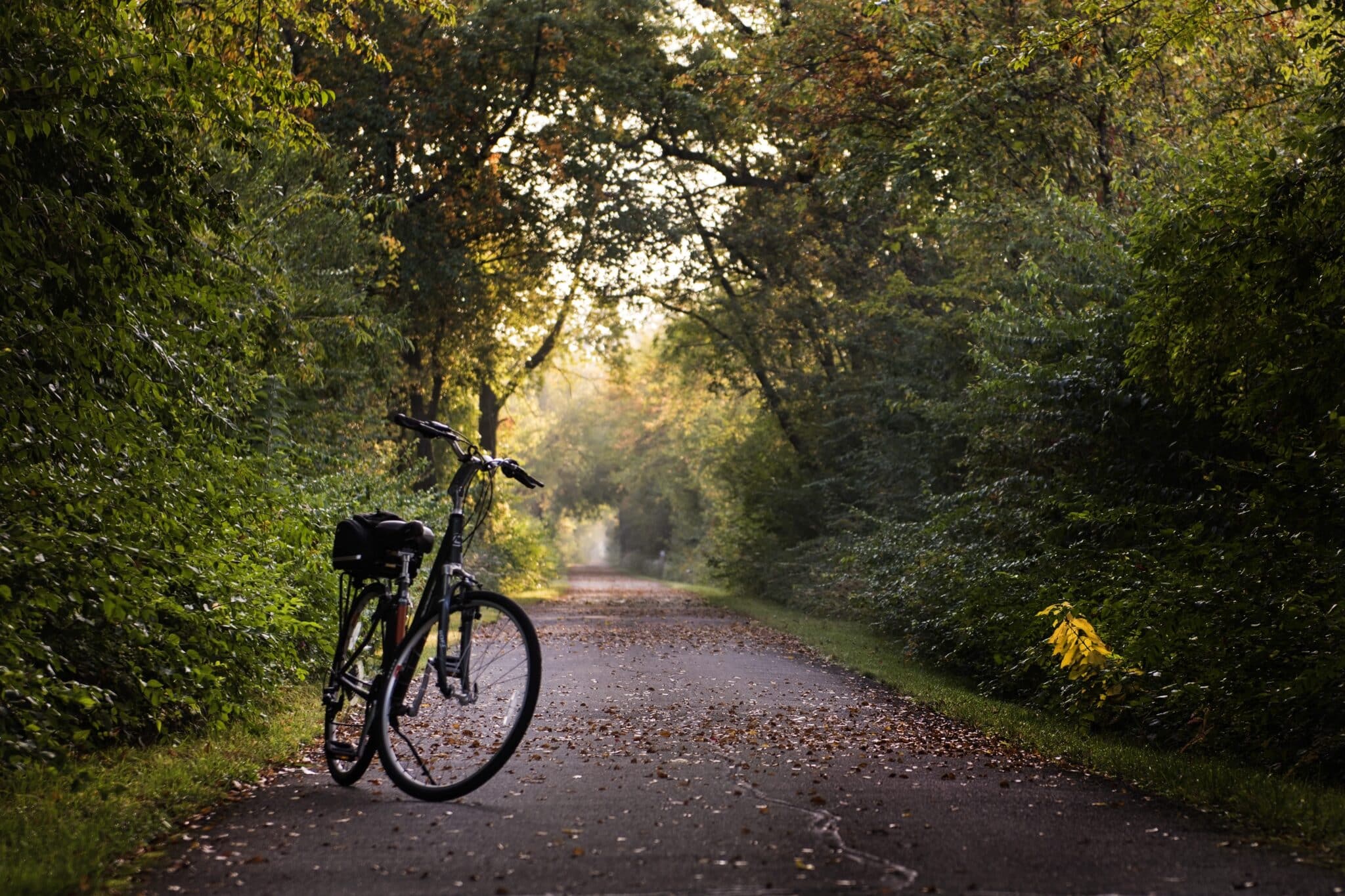bike-trail-bicycle-stockpack-pixabay