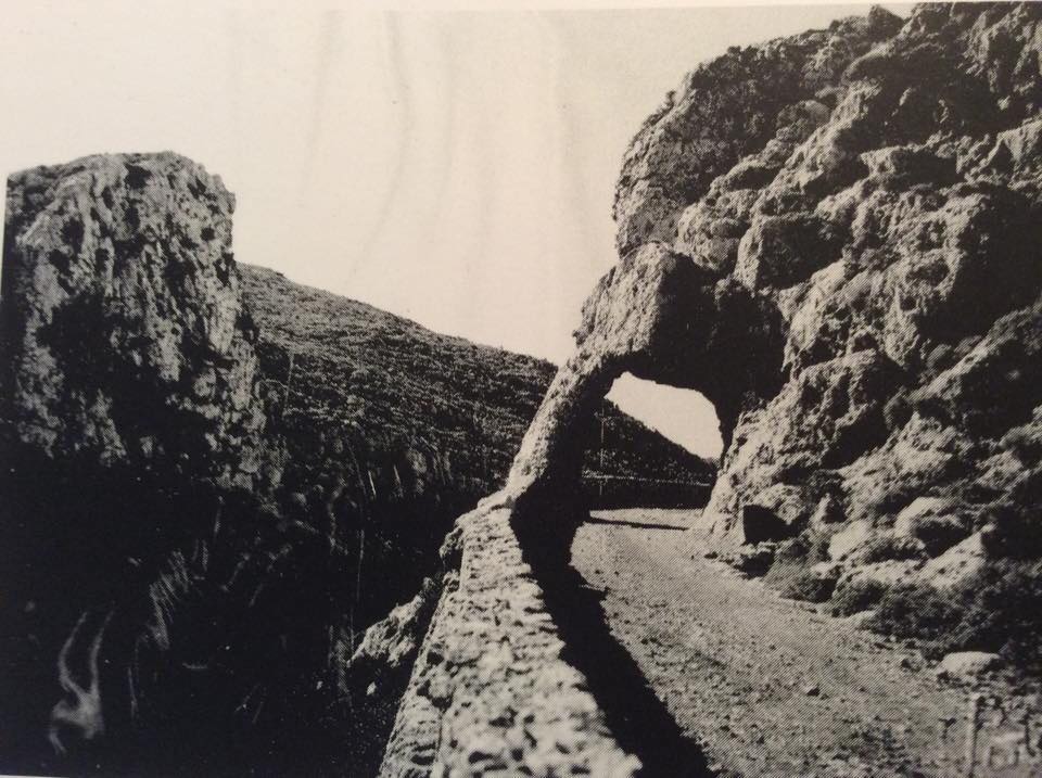 51246602 537336820118262 2429805536426852352 n