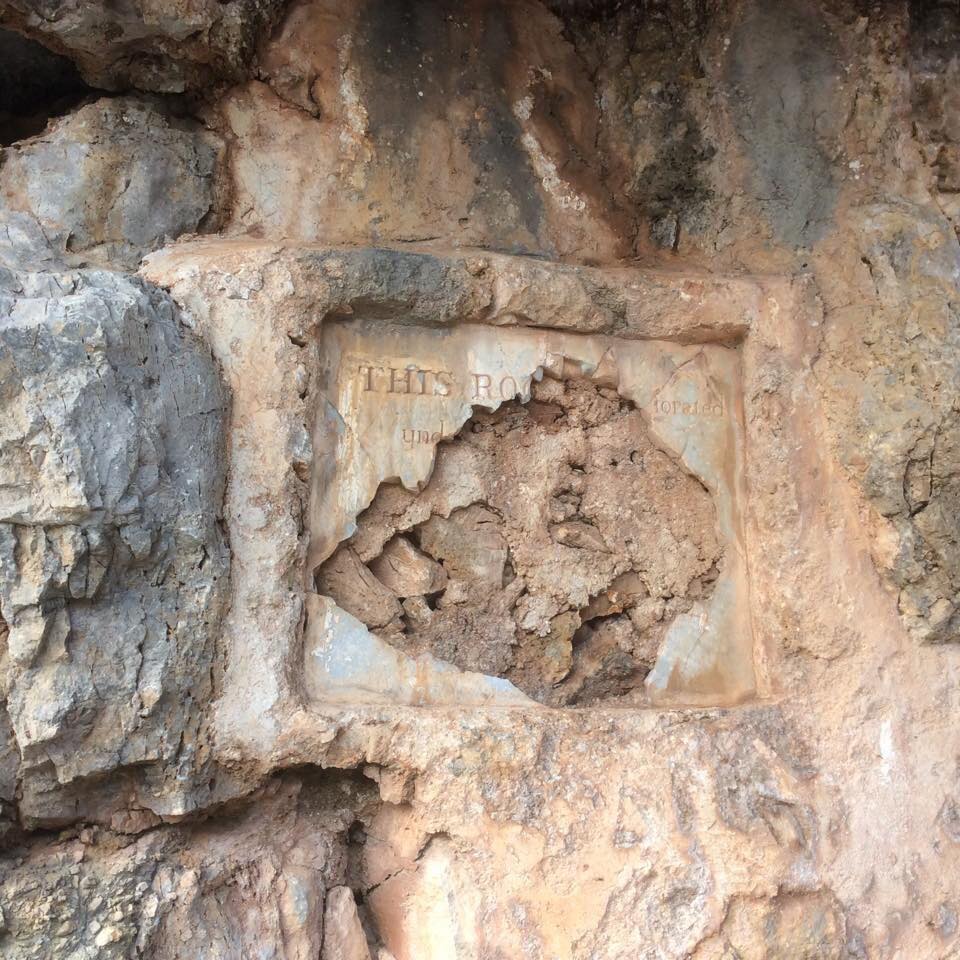 51588880 2283160011735293 4470625561416302592 n