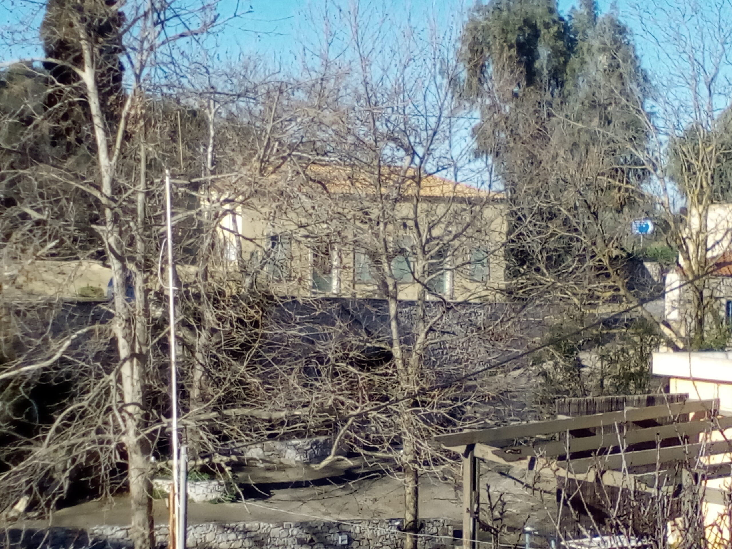 IMG 20220204 095109 scaled