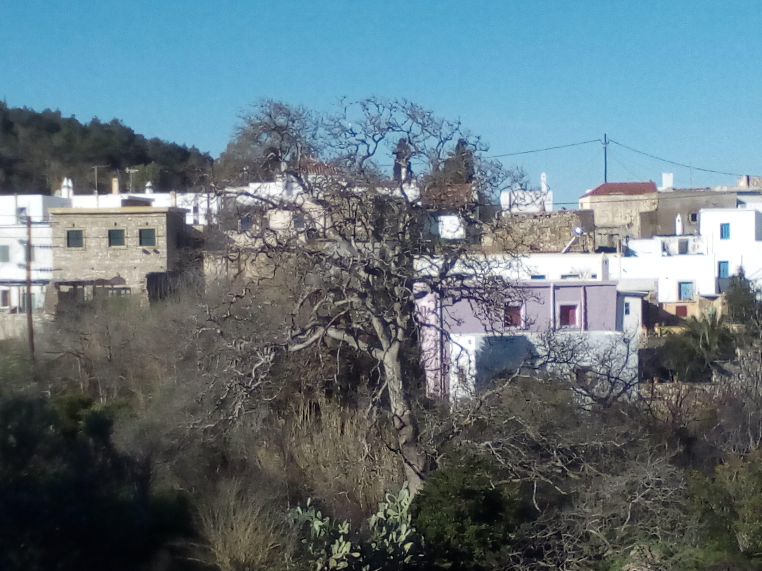 IMG 20220204 095337 scaled