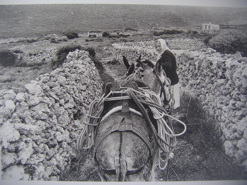 imera gynaikas kythira3