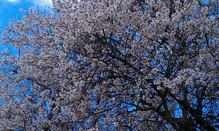 Ο πλούτος του Καραβά των Κυθήρων 1 karavas