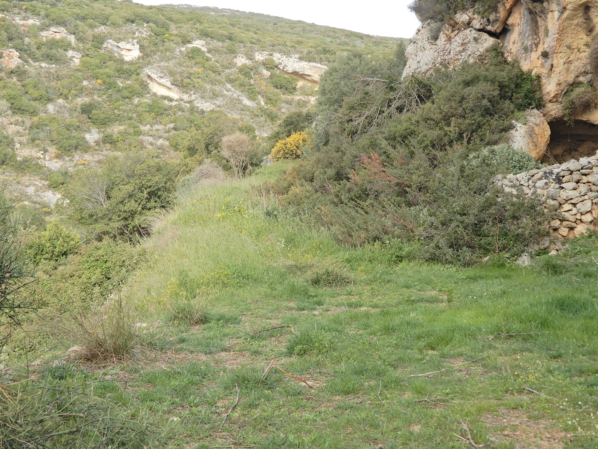 mitata katharismos monopati frank1