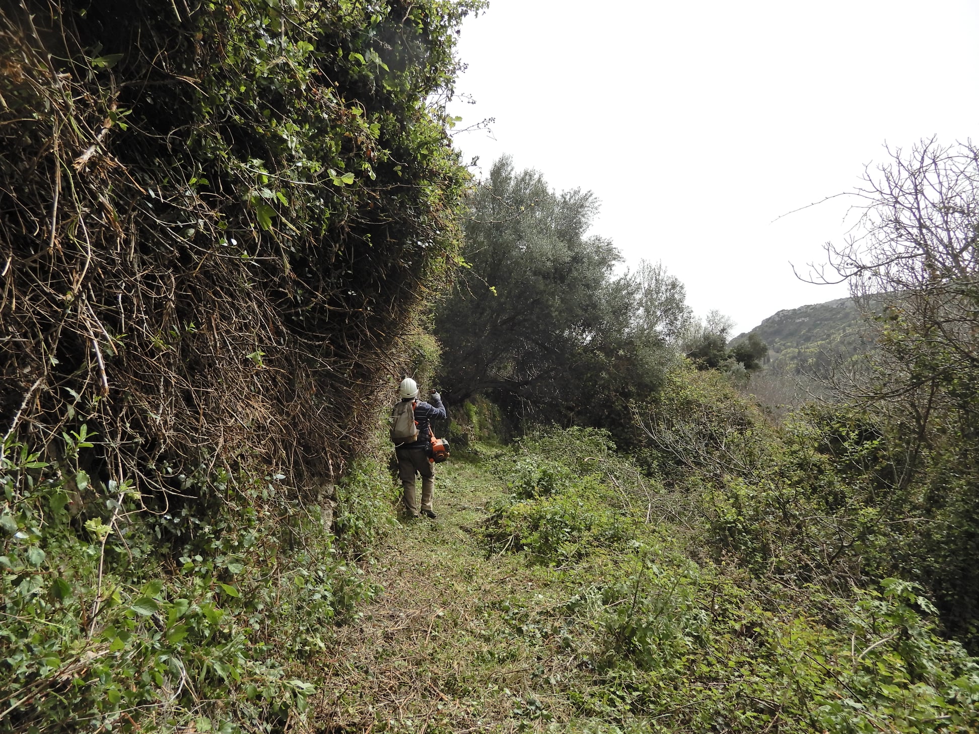 mitata katharismos monopati frank3