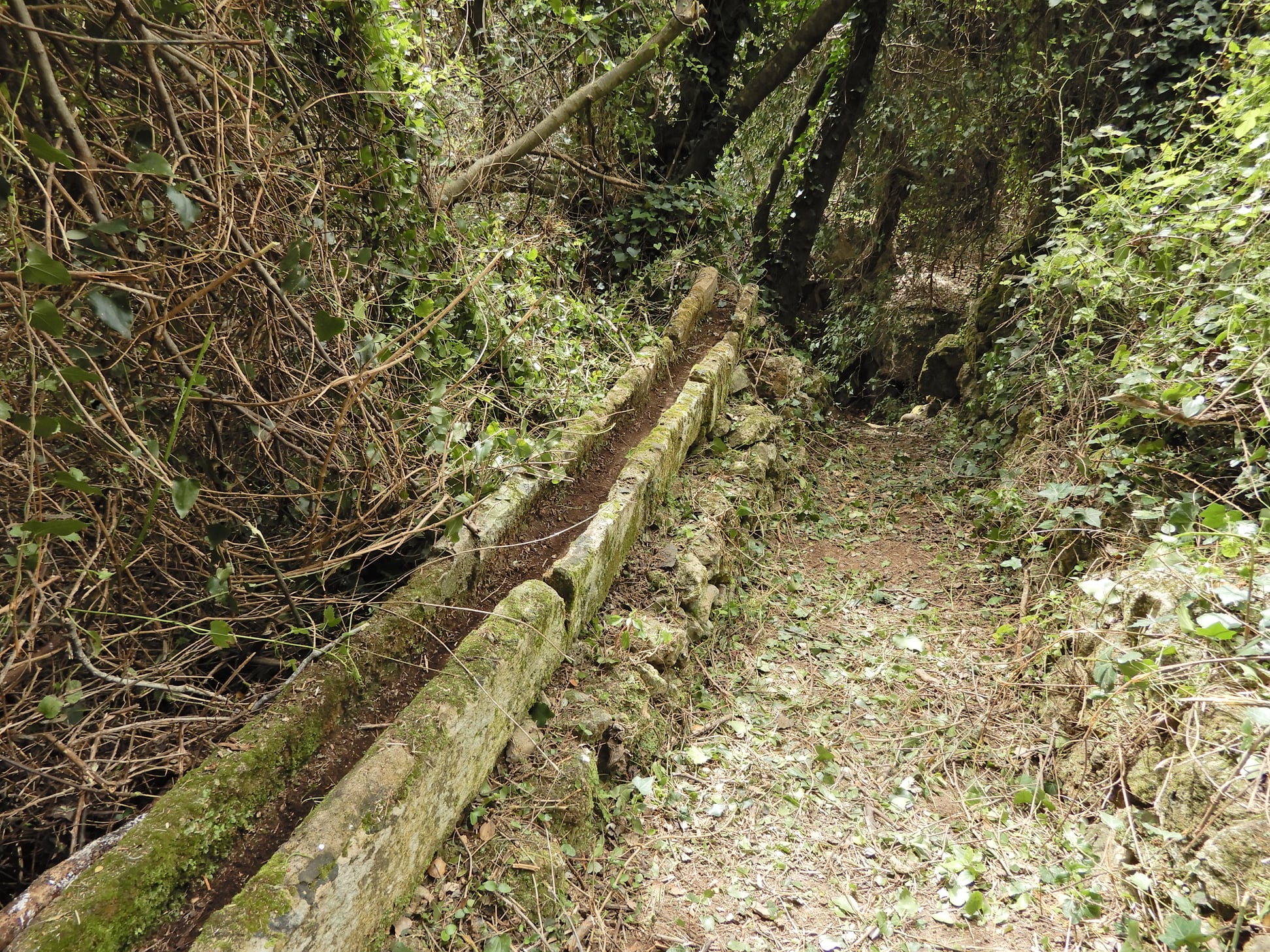 mitata katharismos monopati frank4