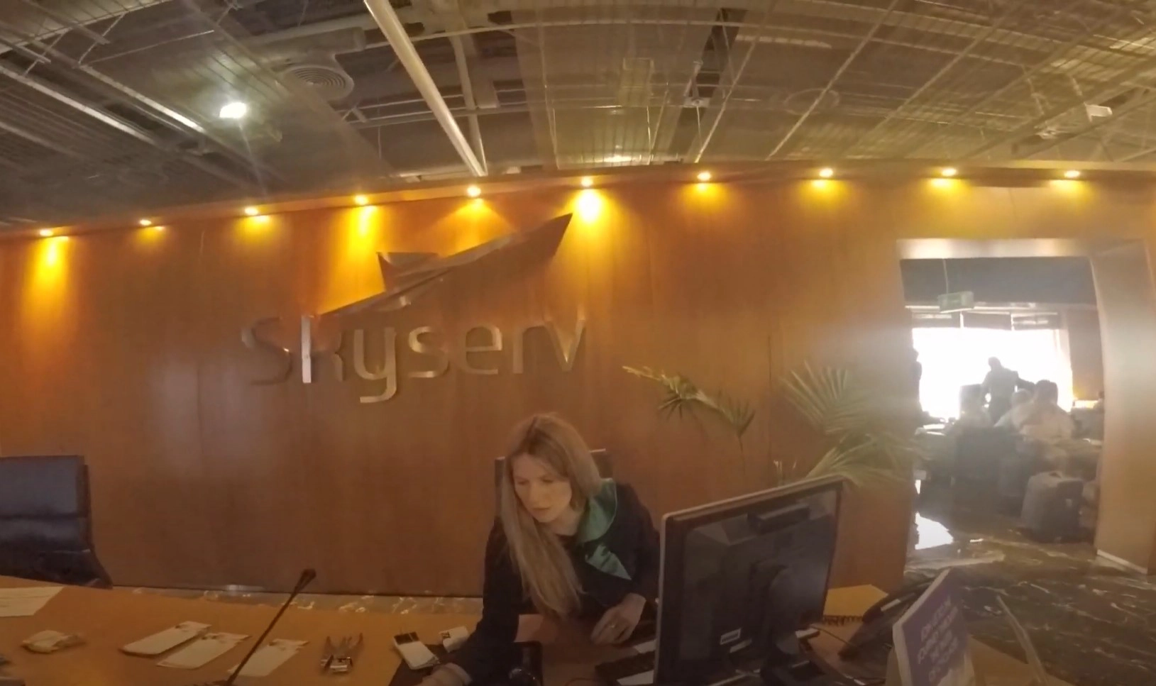 skyserv