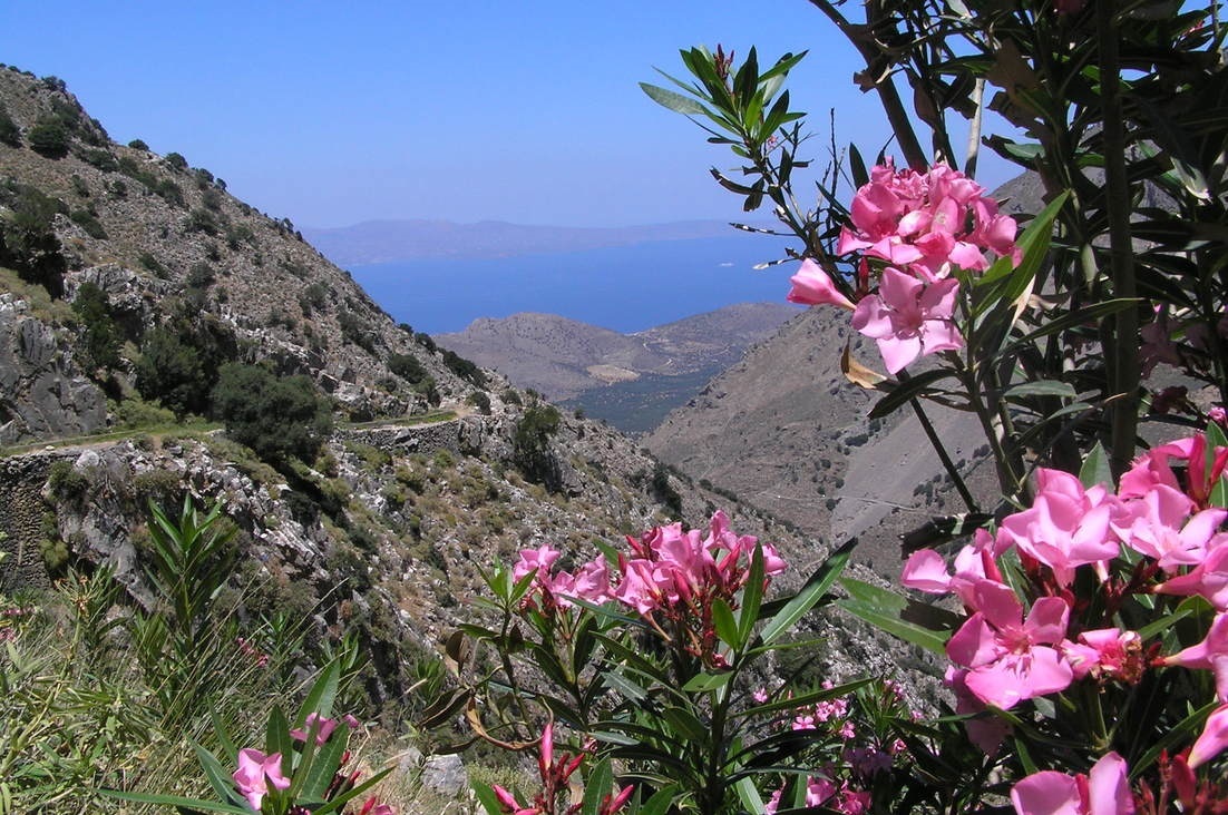 gorge-messonas-sentier-botanique-kavousi-alsace-crete-1