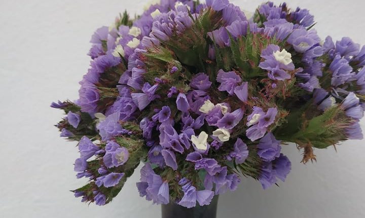 thalassolouloudo-kythira