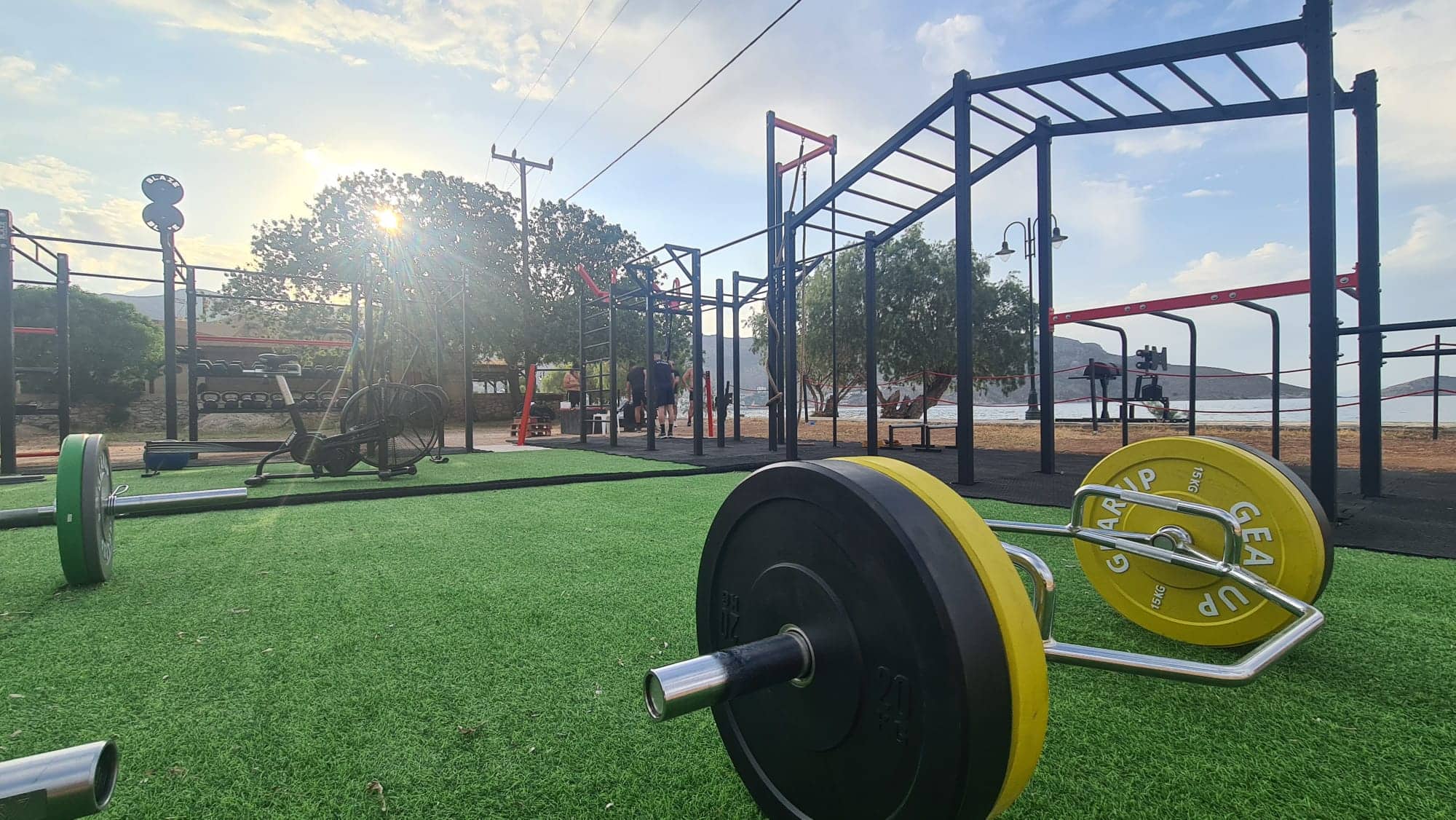 tilos ocr elephants3