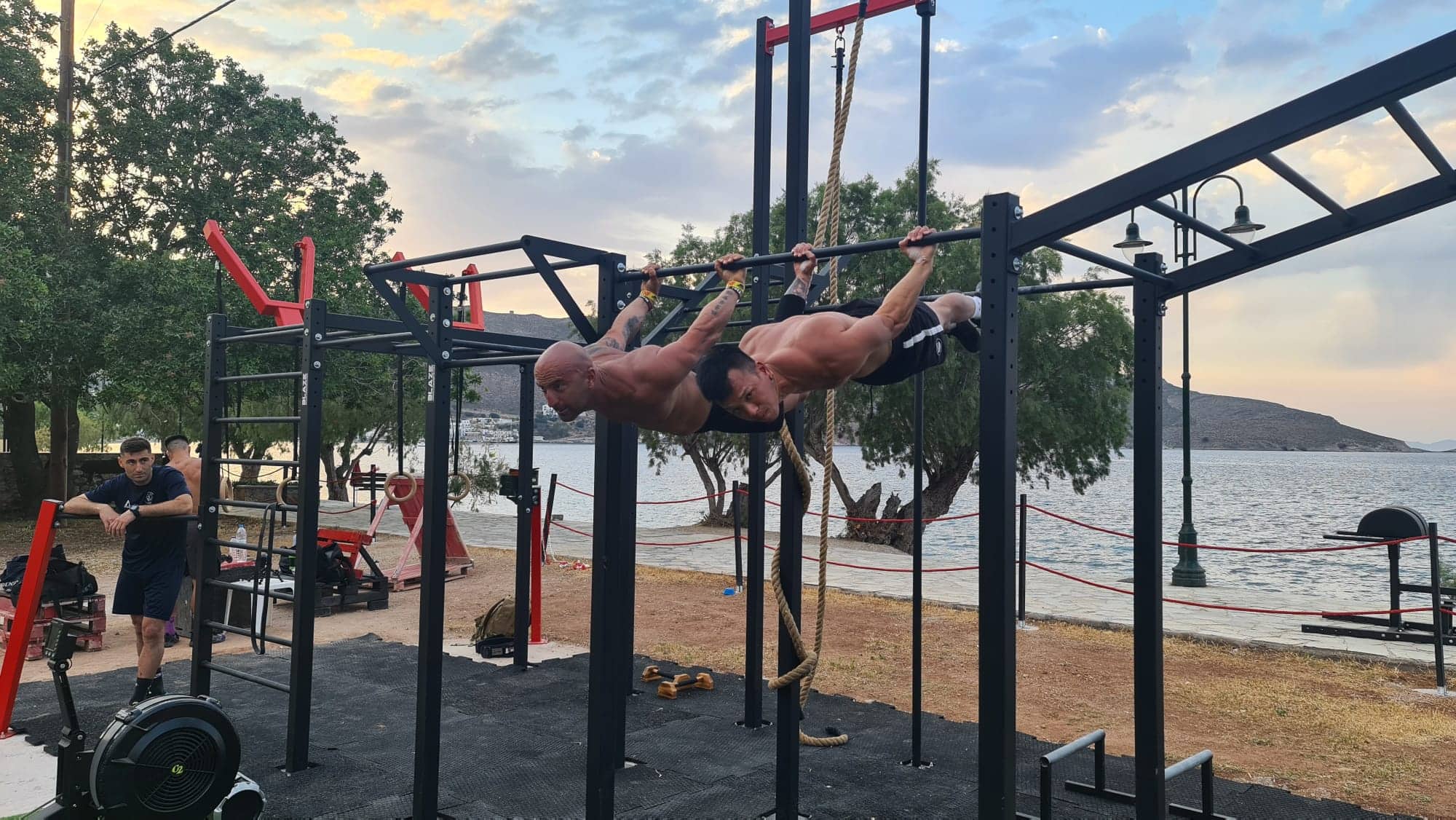 tilos ocr elephants5