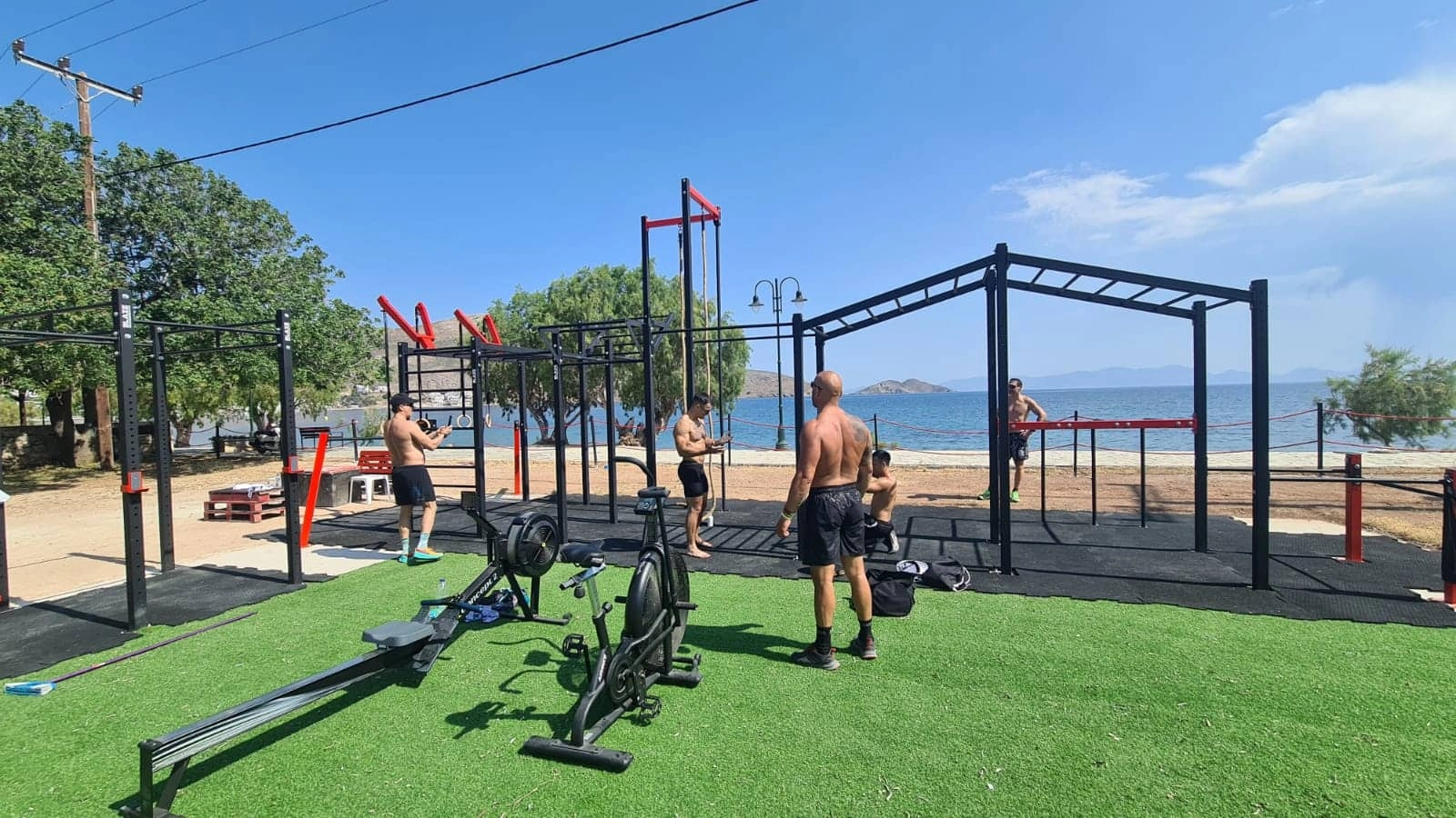 tilos ocr elephants6