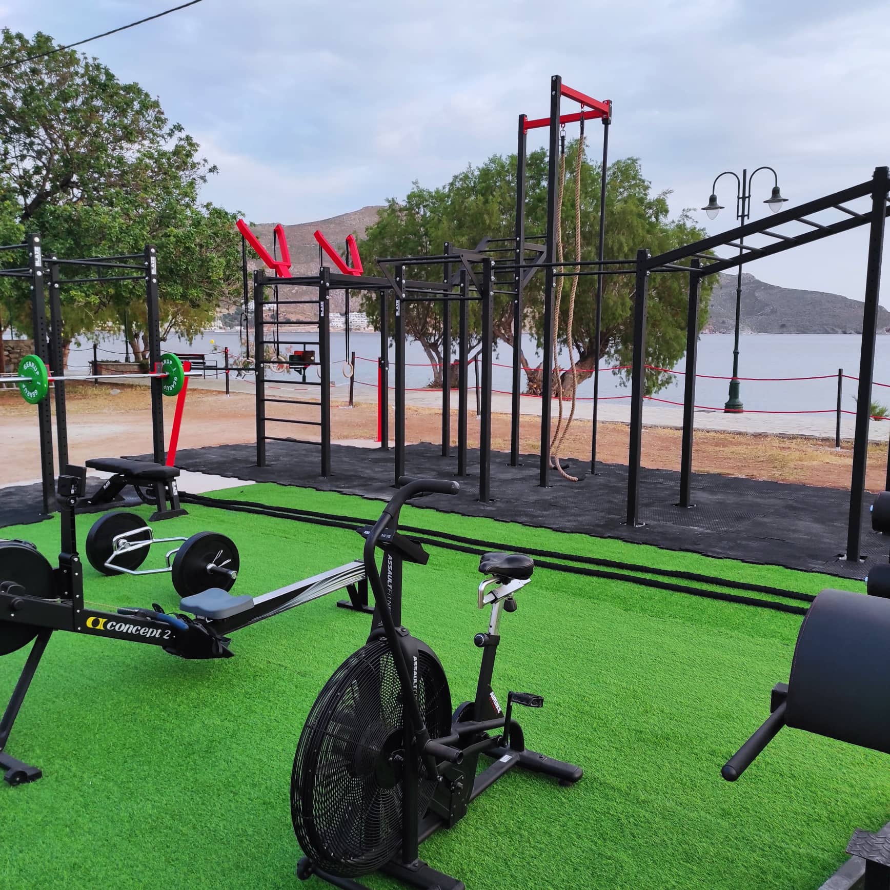 tilos ocr elephants8