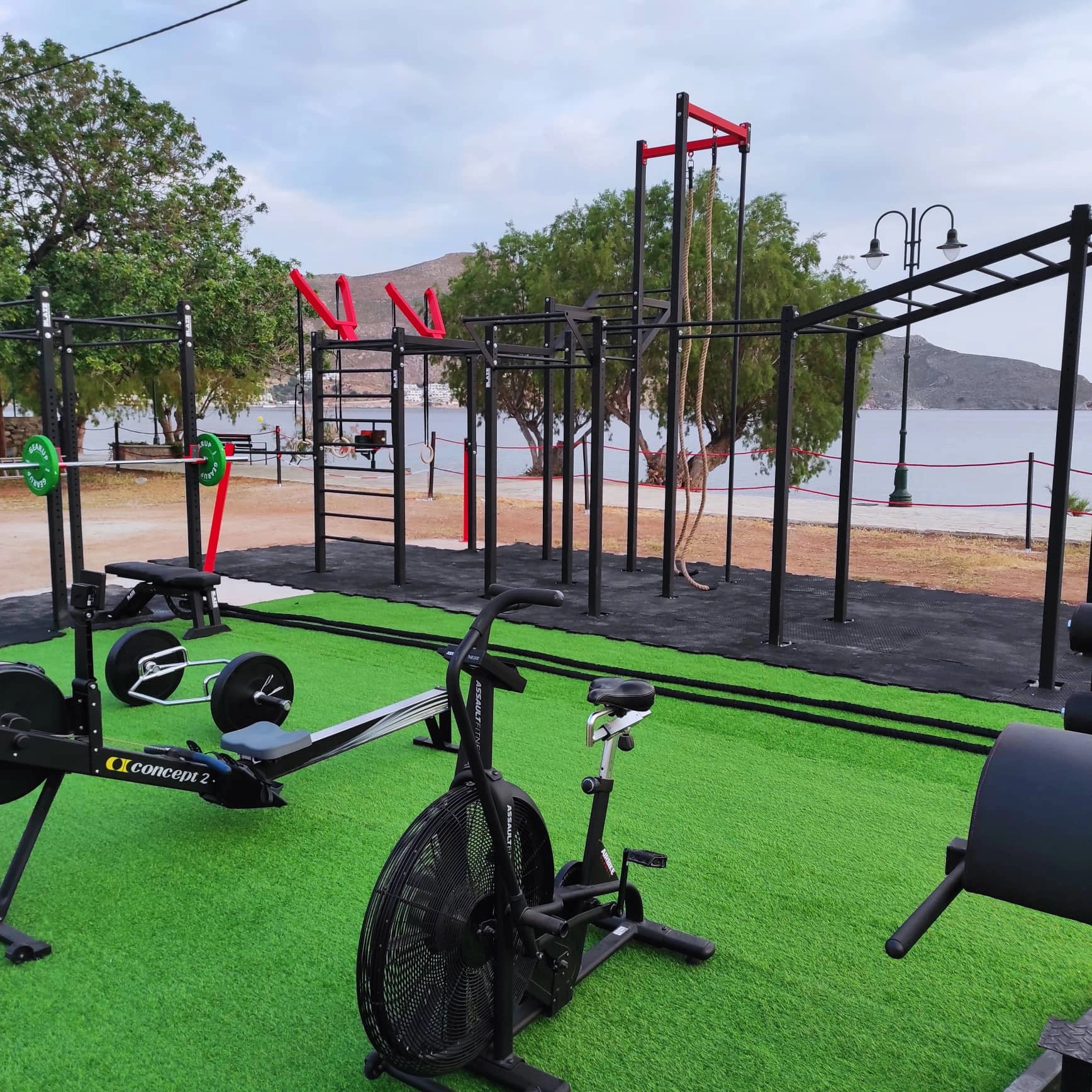 tilos ocr elephants8