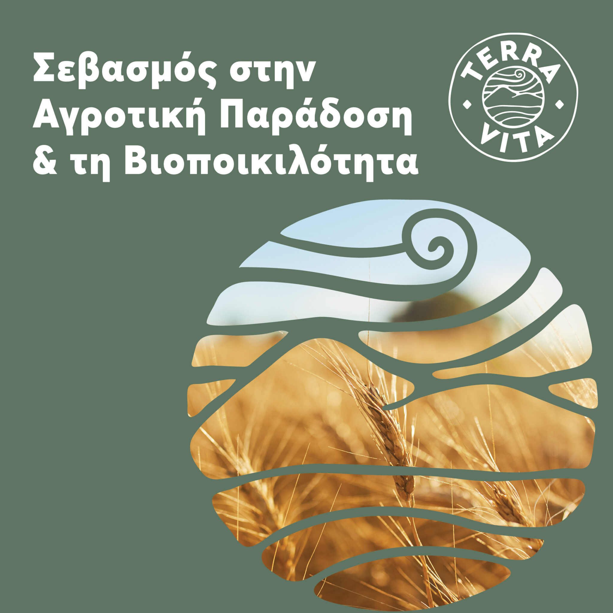 TERRA VITA LEMNOS IMAGES 5 scaled