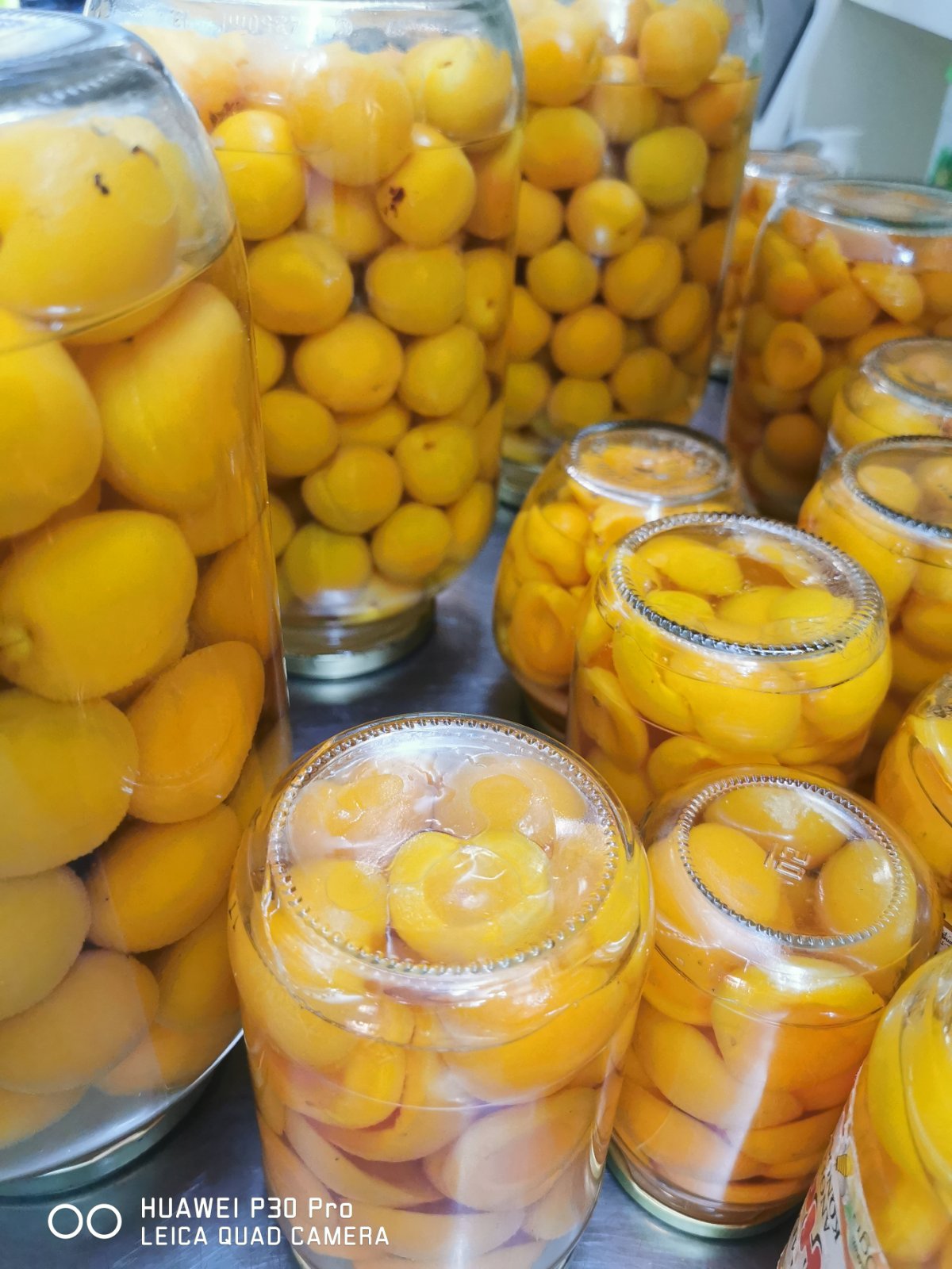 κομπόστα κύθηρα φυσική διατροφή