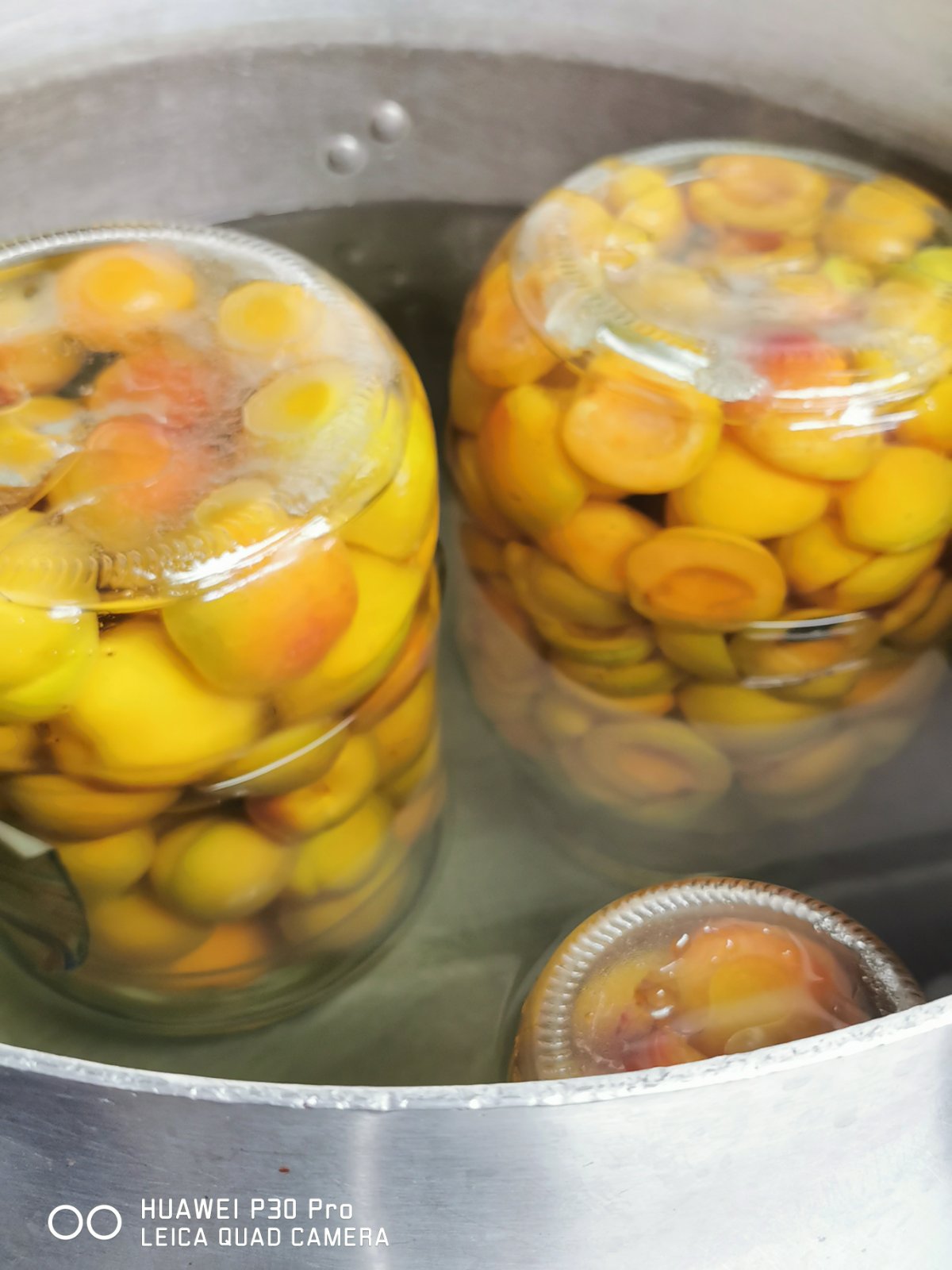 κομπόστα κύθηρα φυσική διατροφή